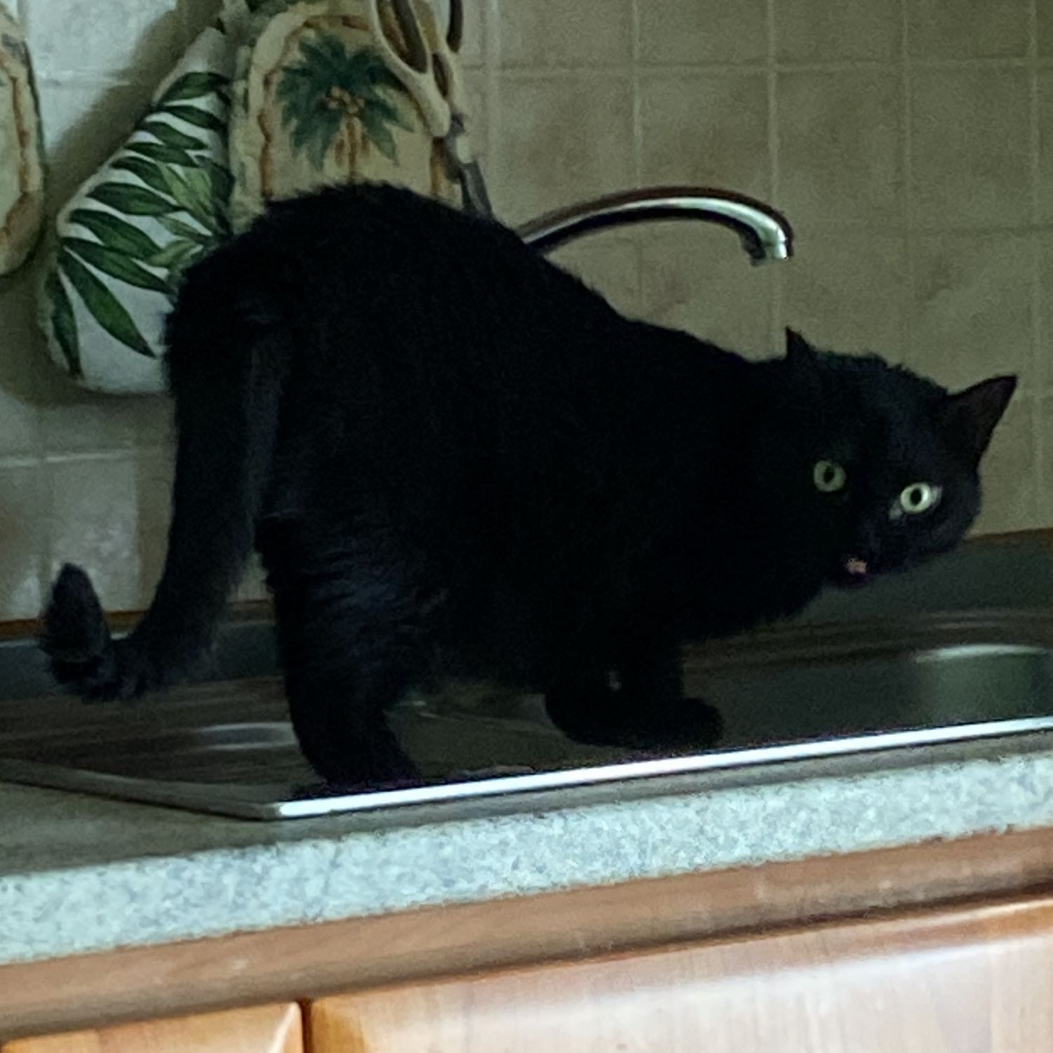nimue 