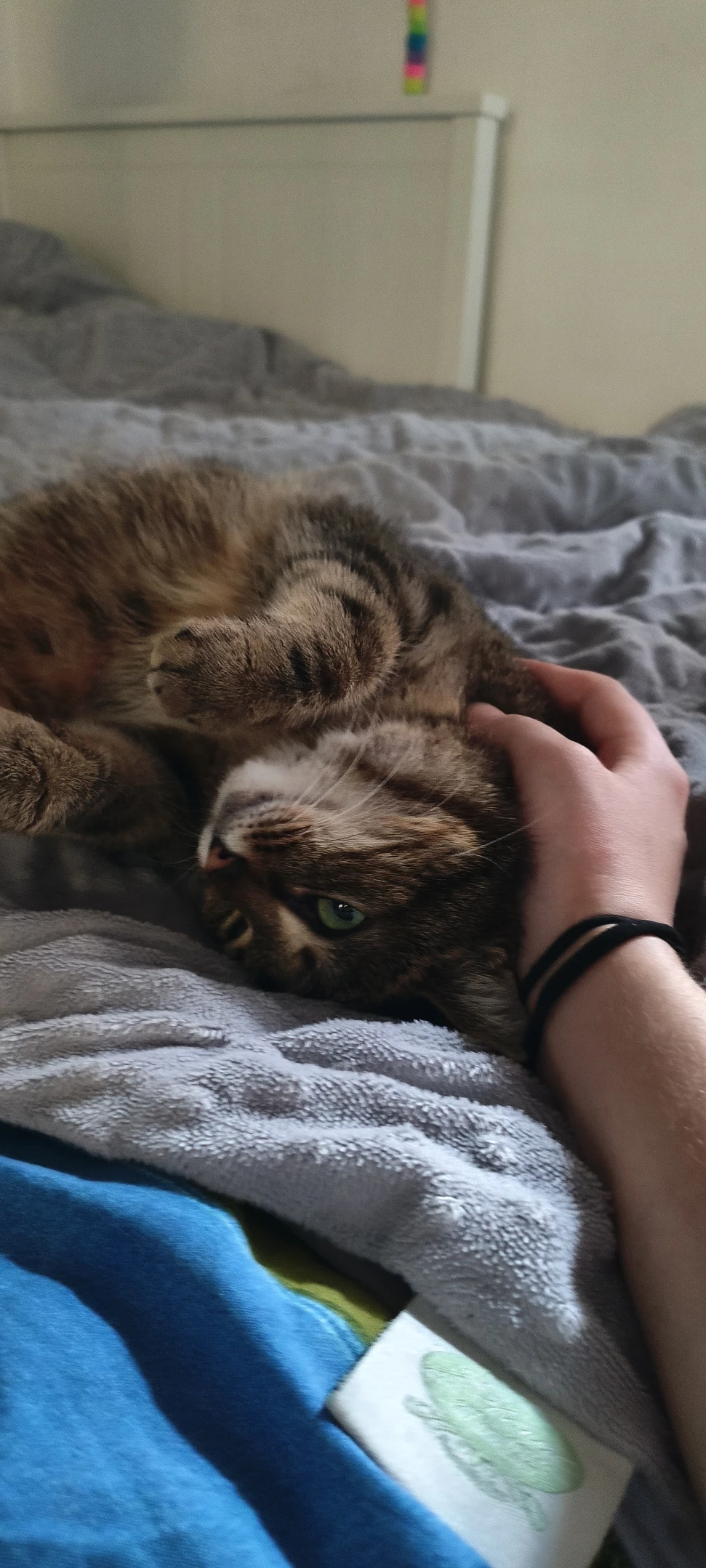 image-7