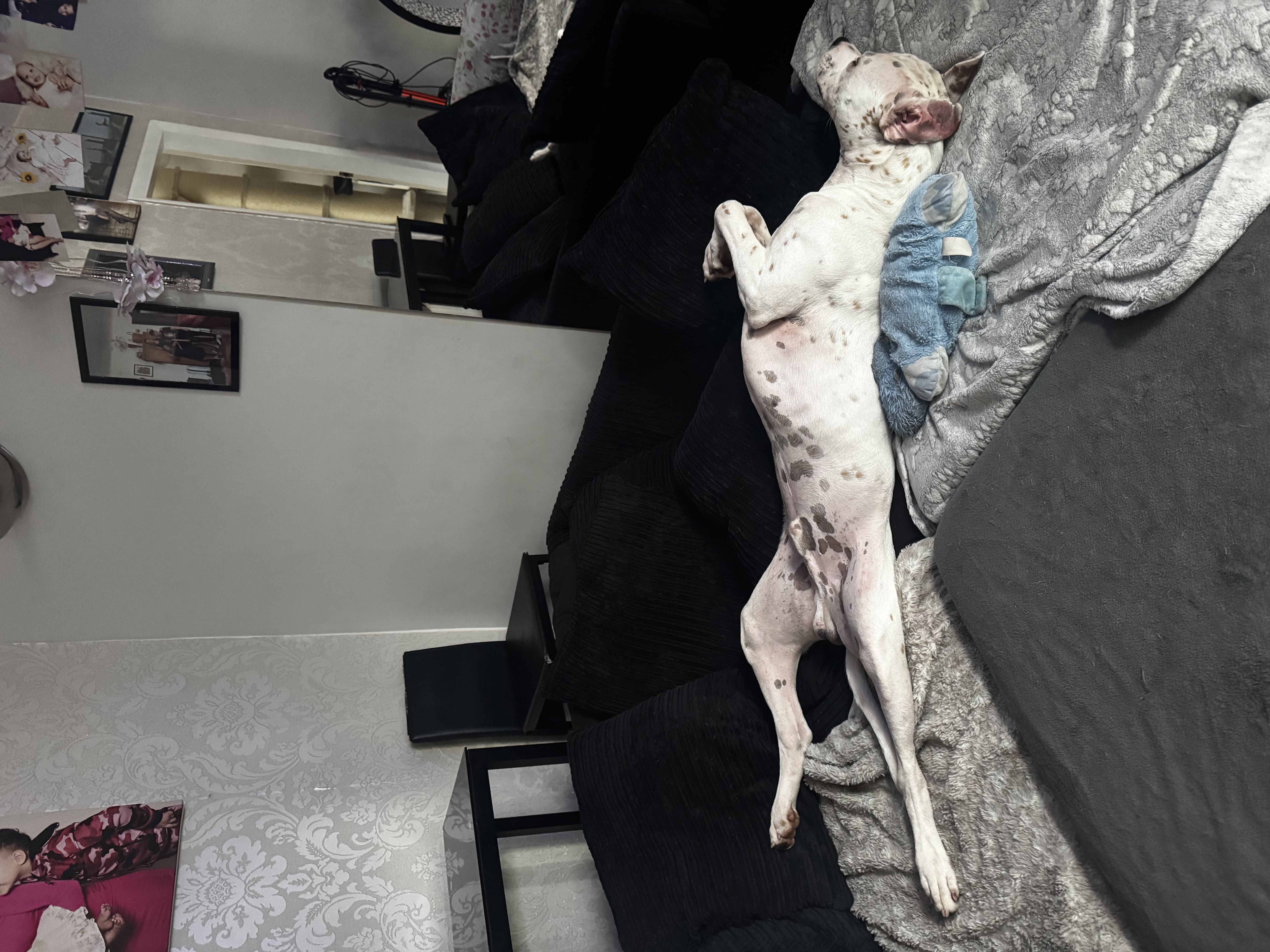 image-7