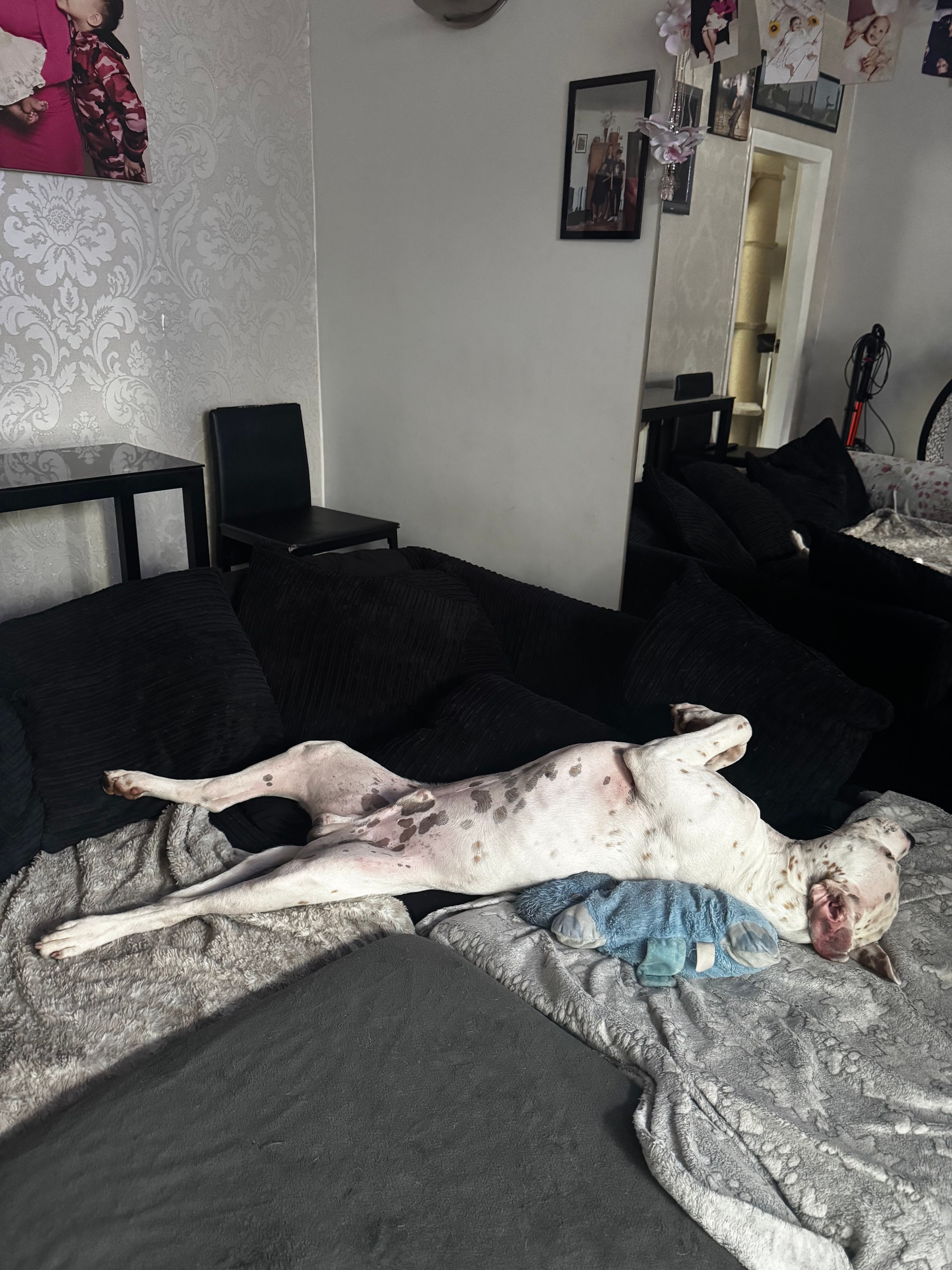 image-7