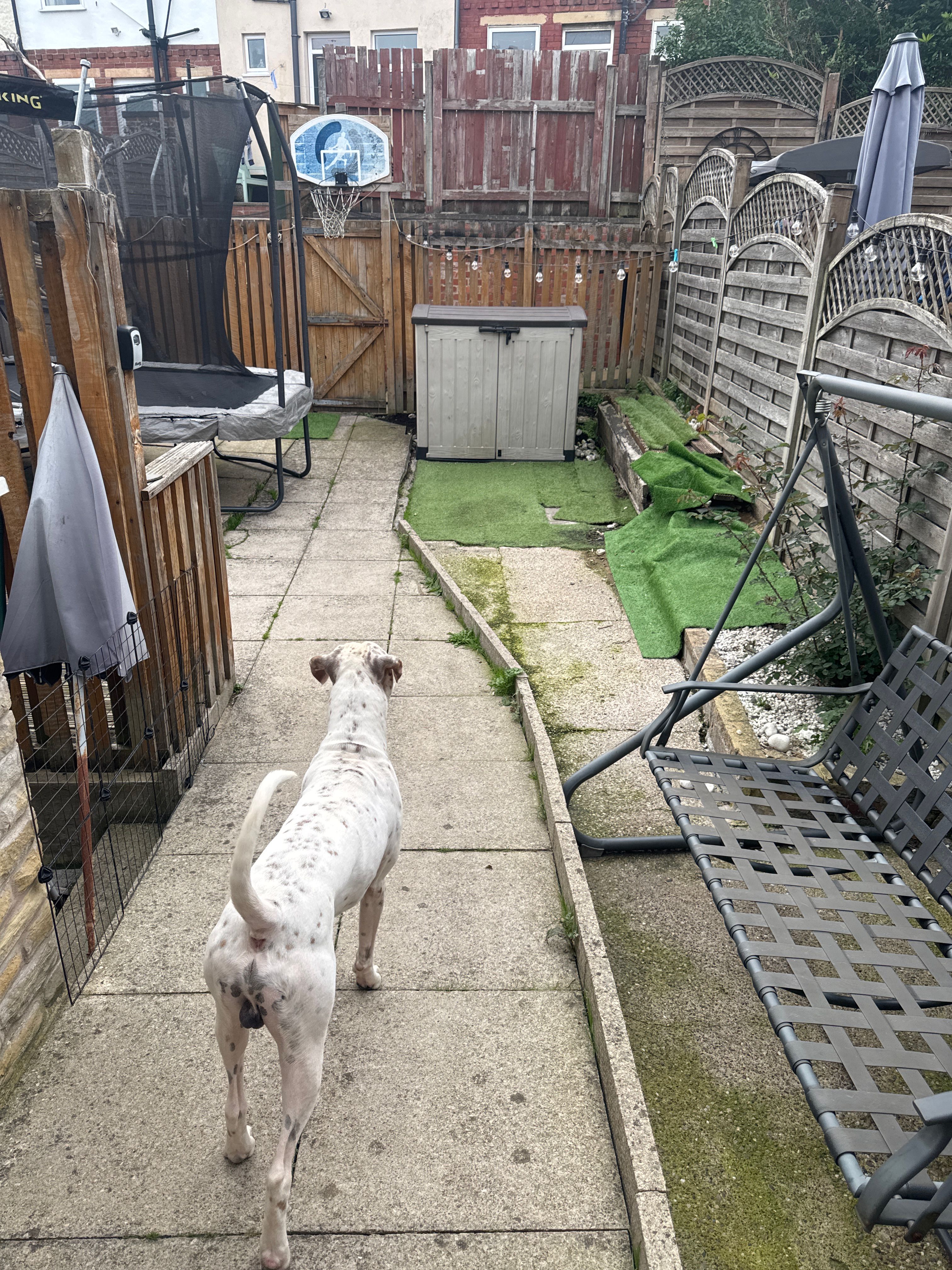 image-18
