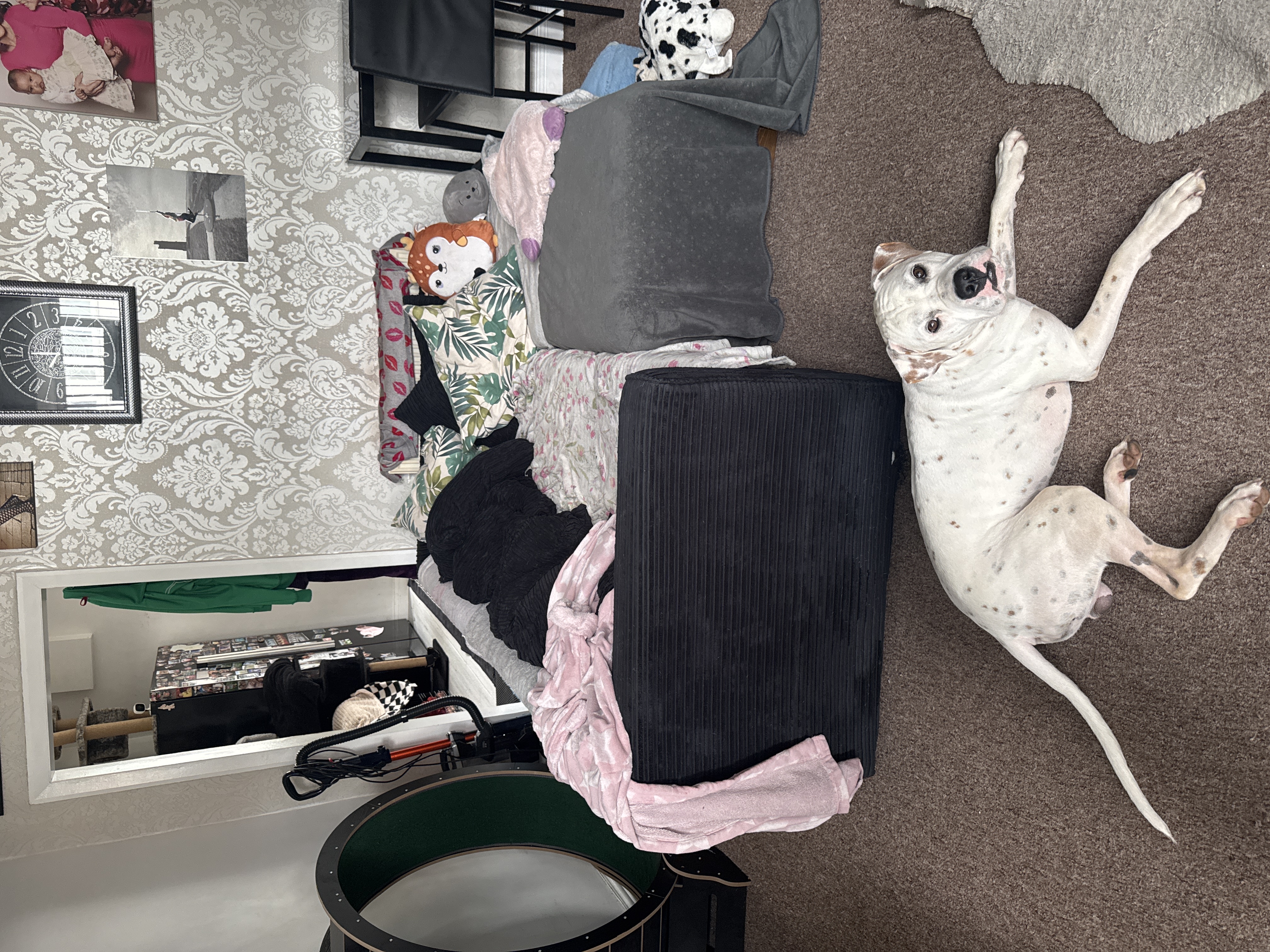 image-16