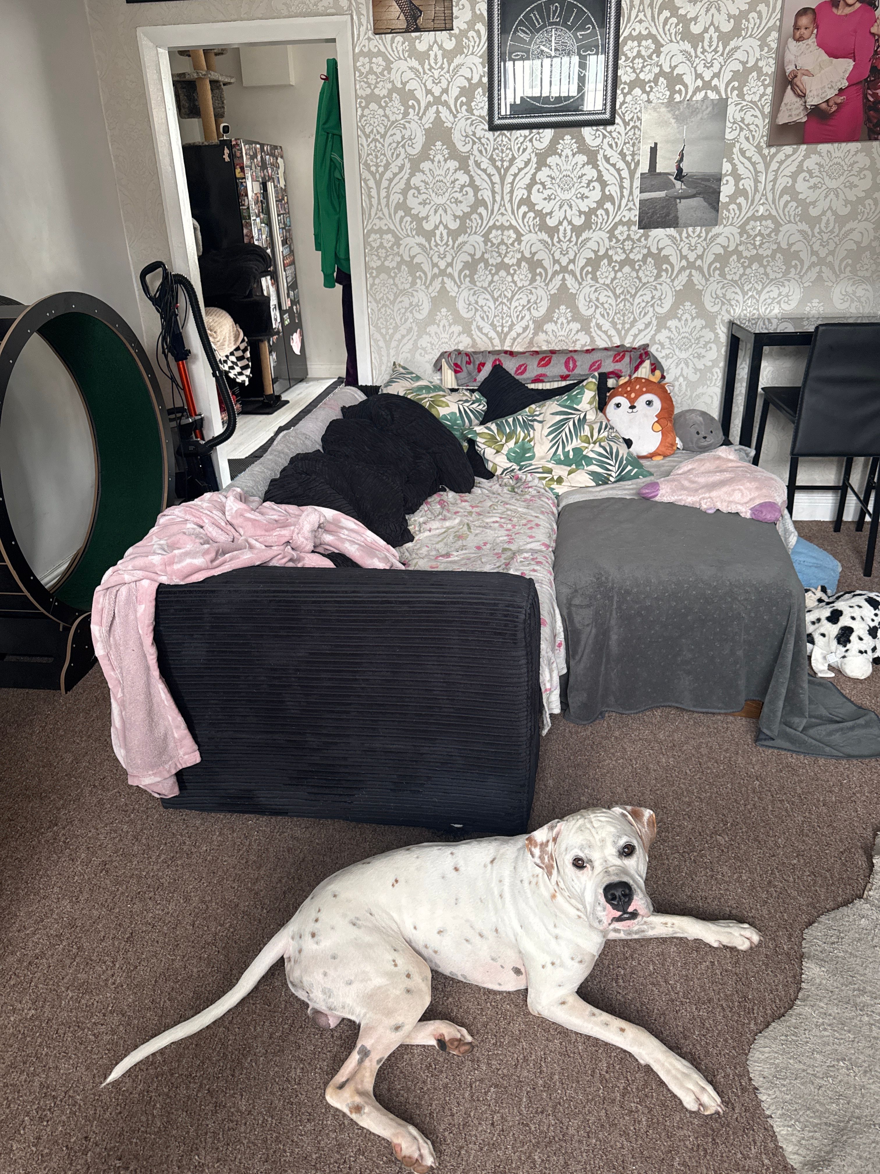 image-16