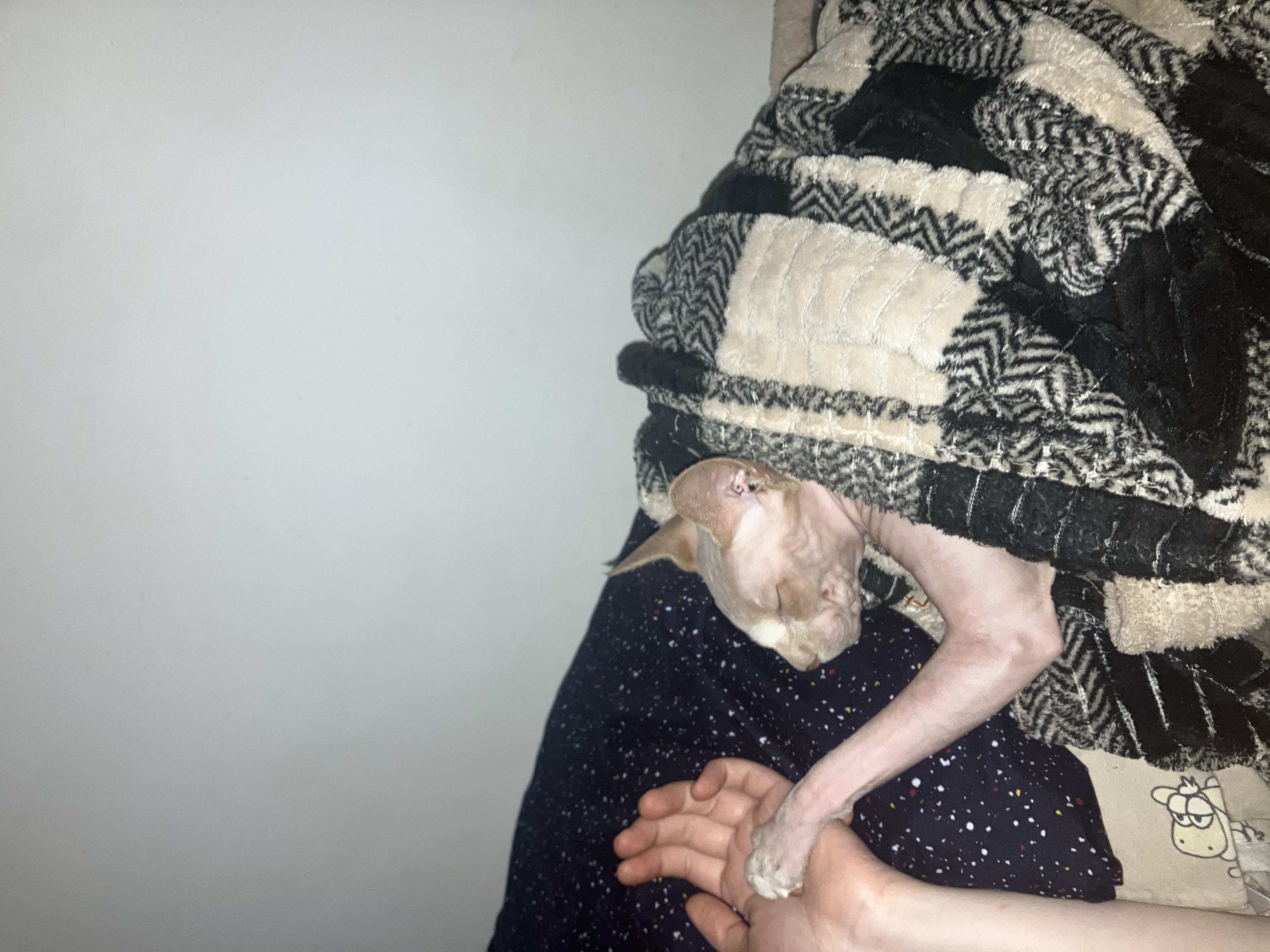 image-6