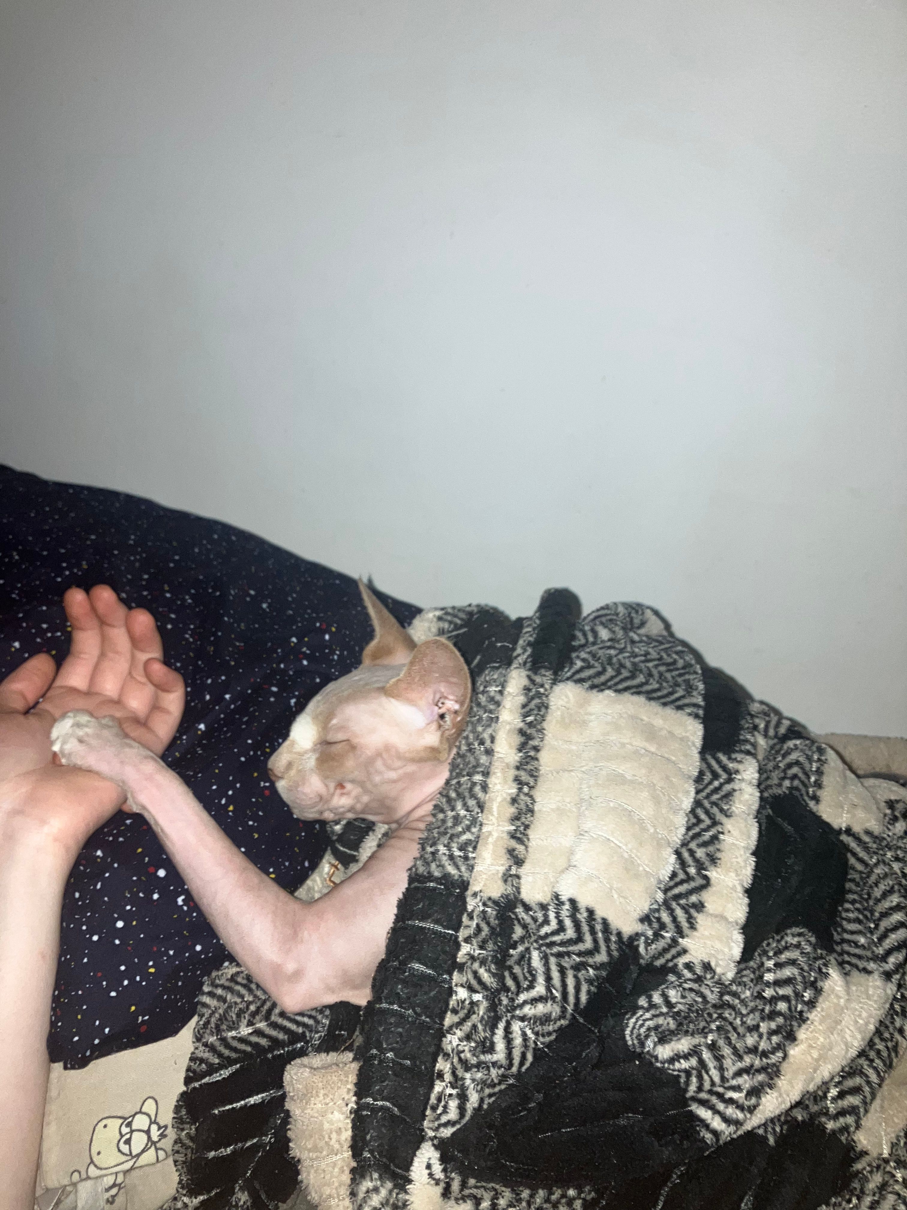 image-6