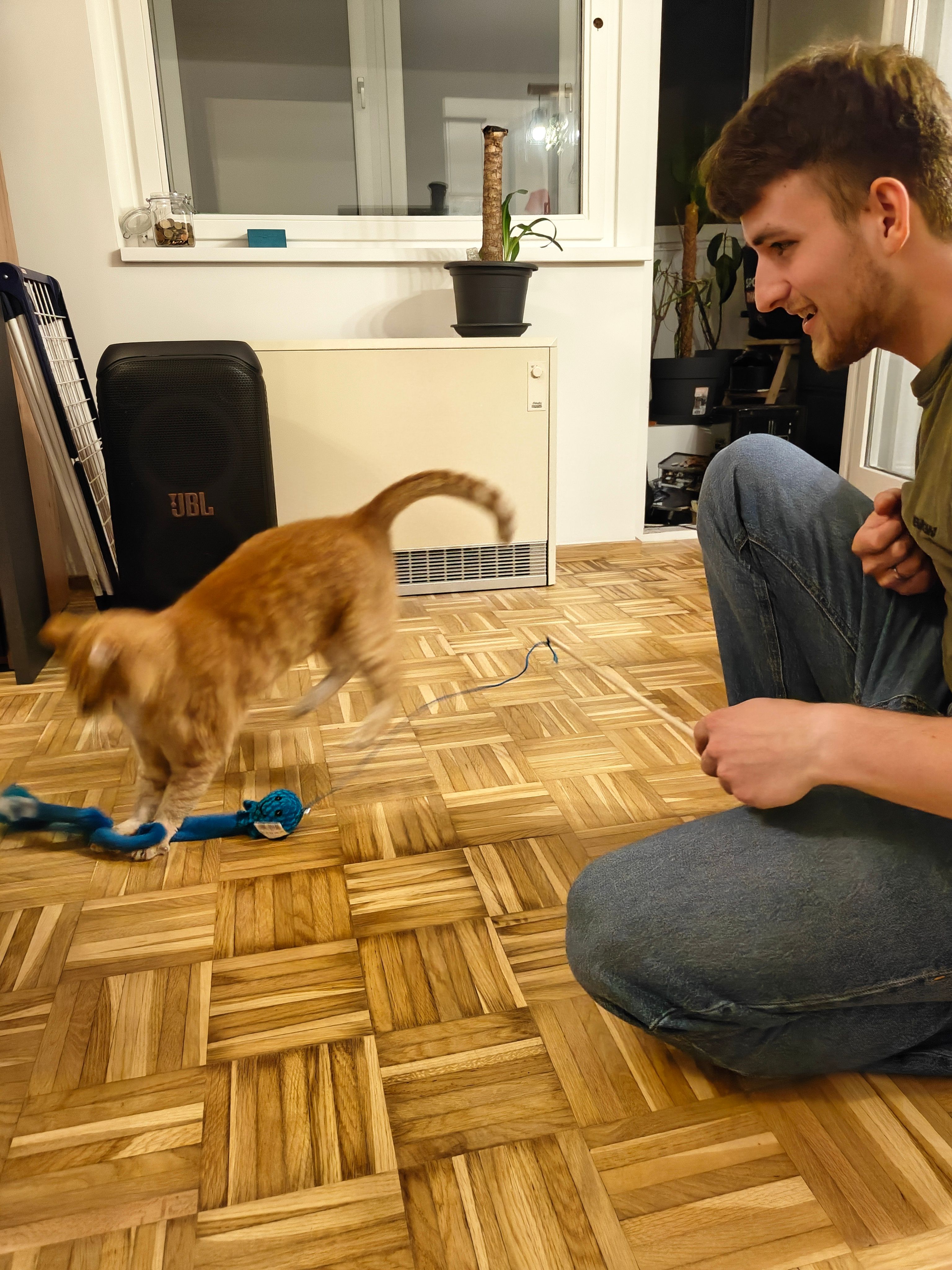 image-7