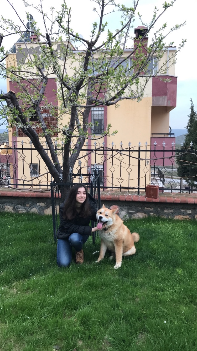 image-8