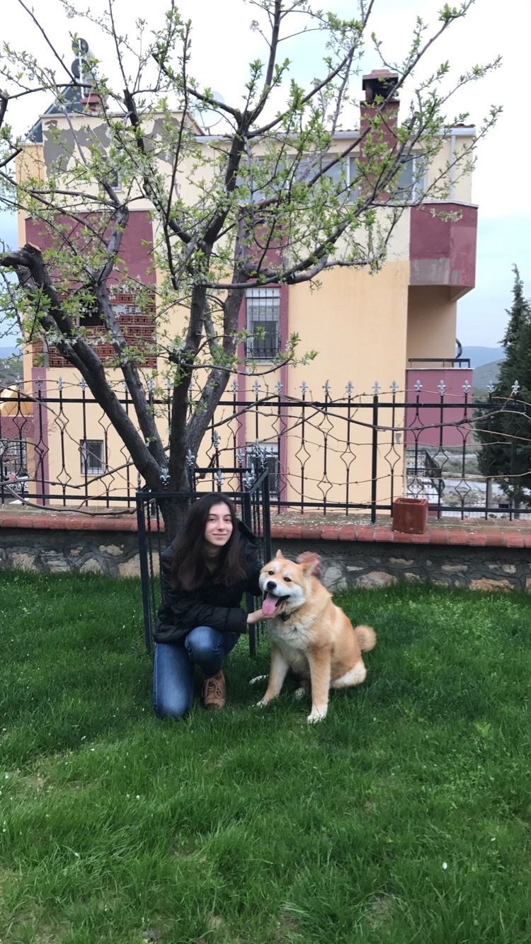 image-8