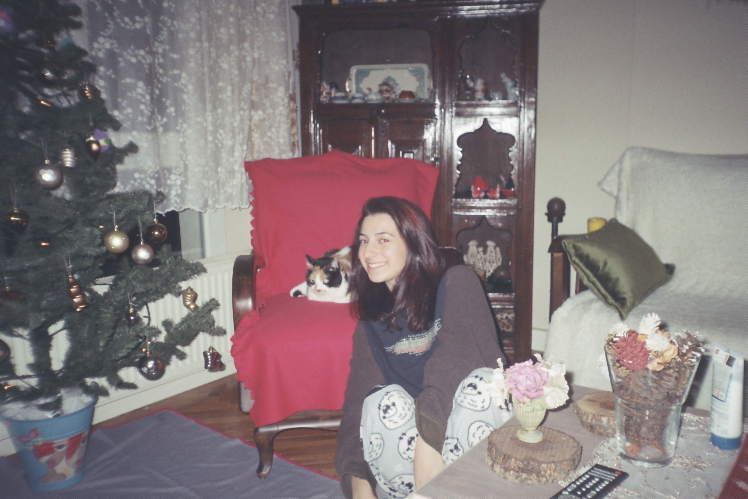 image-7
