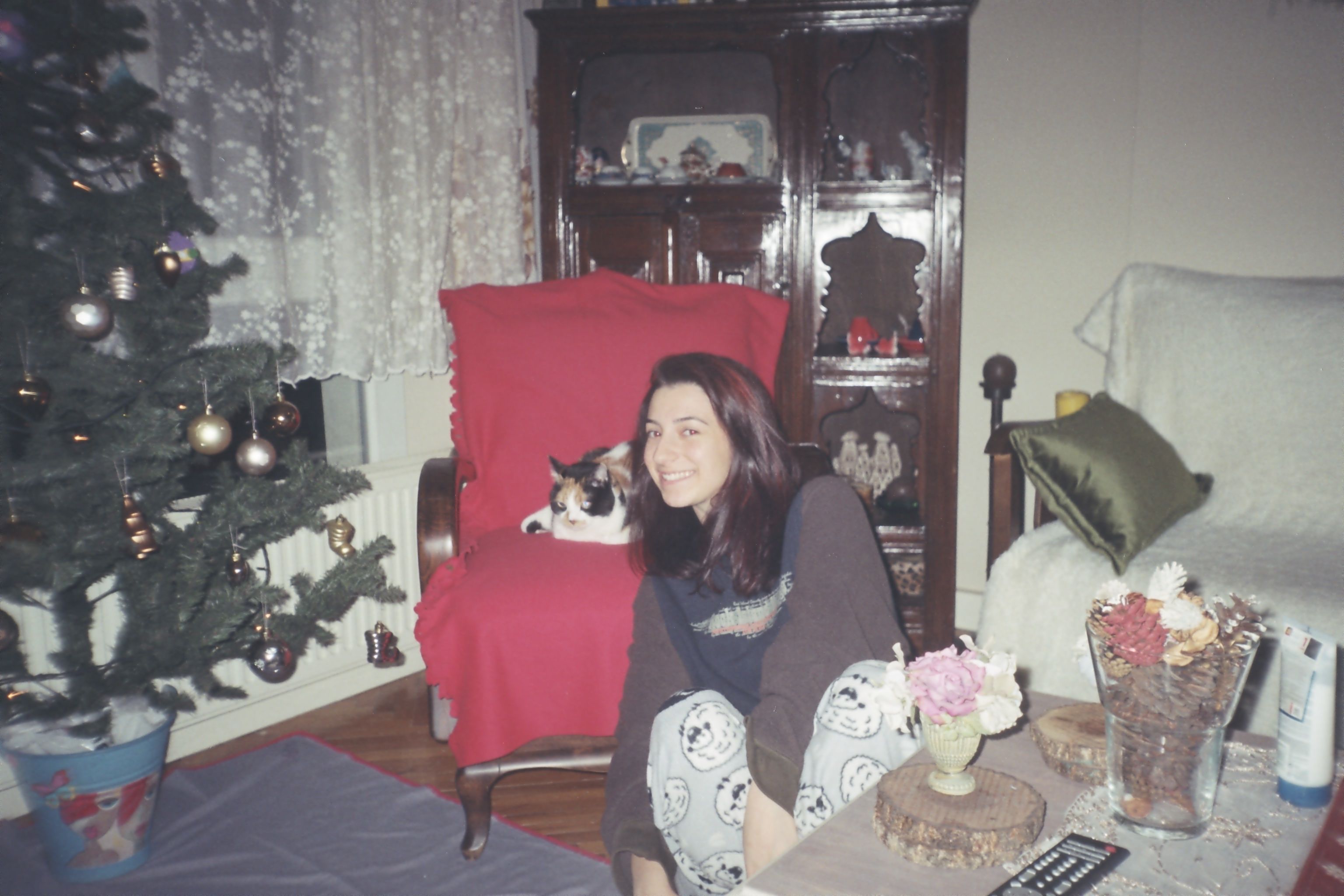 image-7
