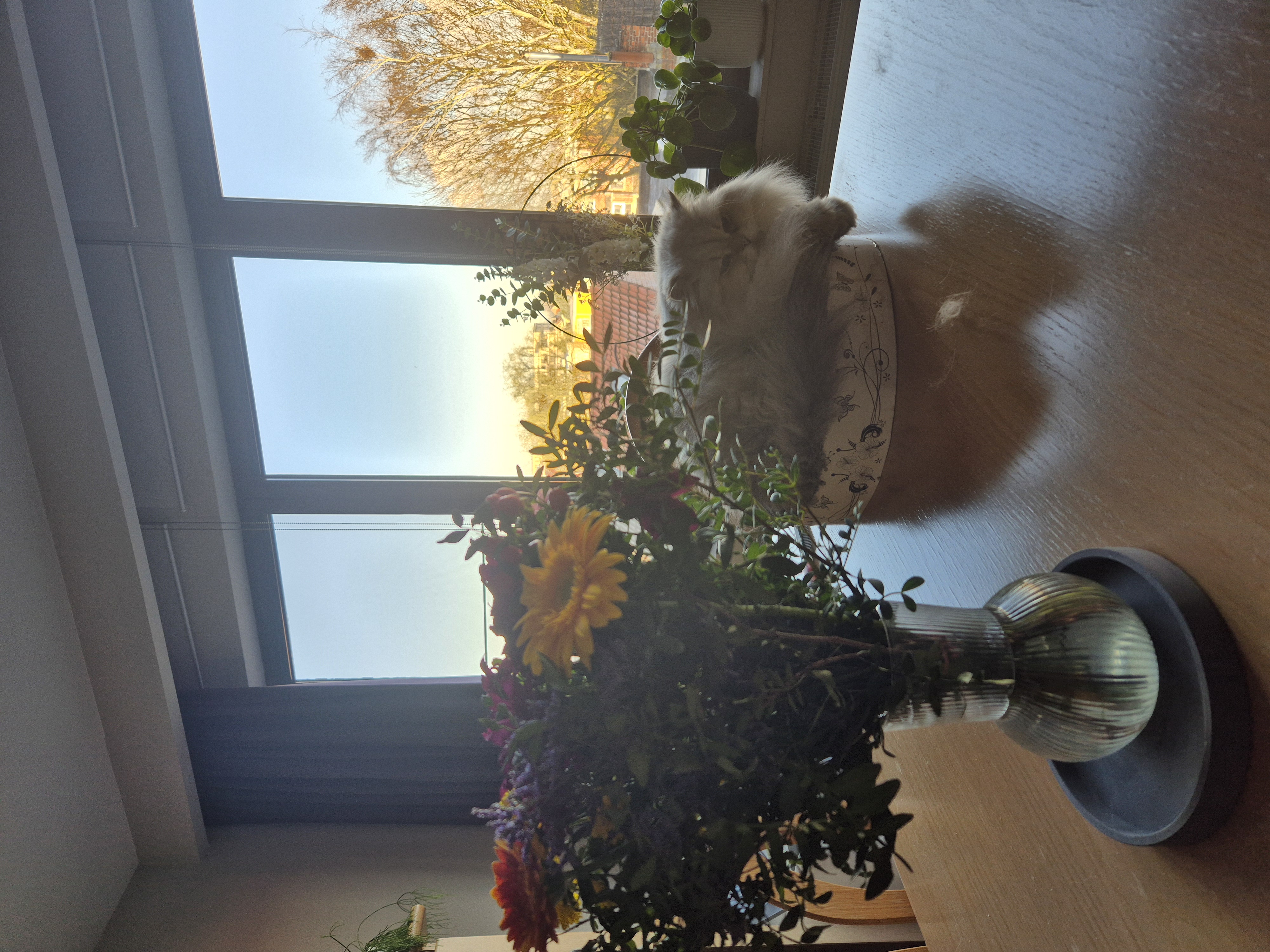 image-18