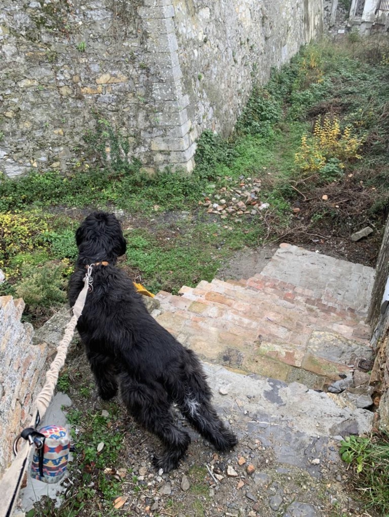 image-5