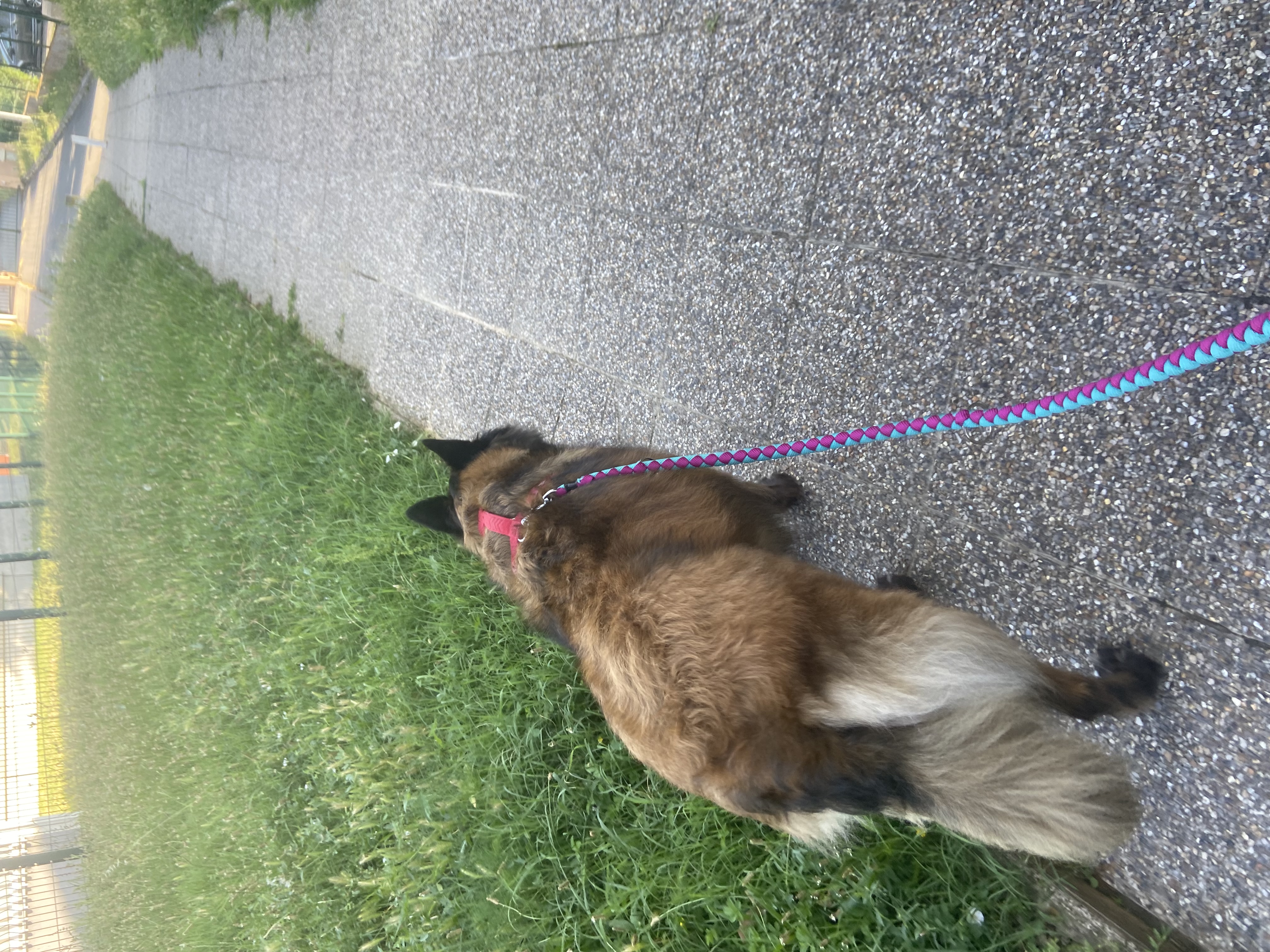 image-9