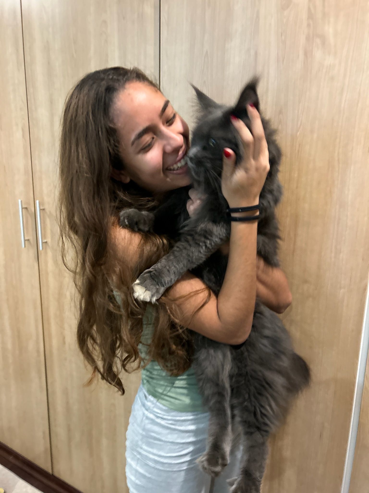 image-6