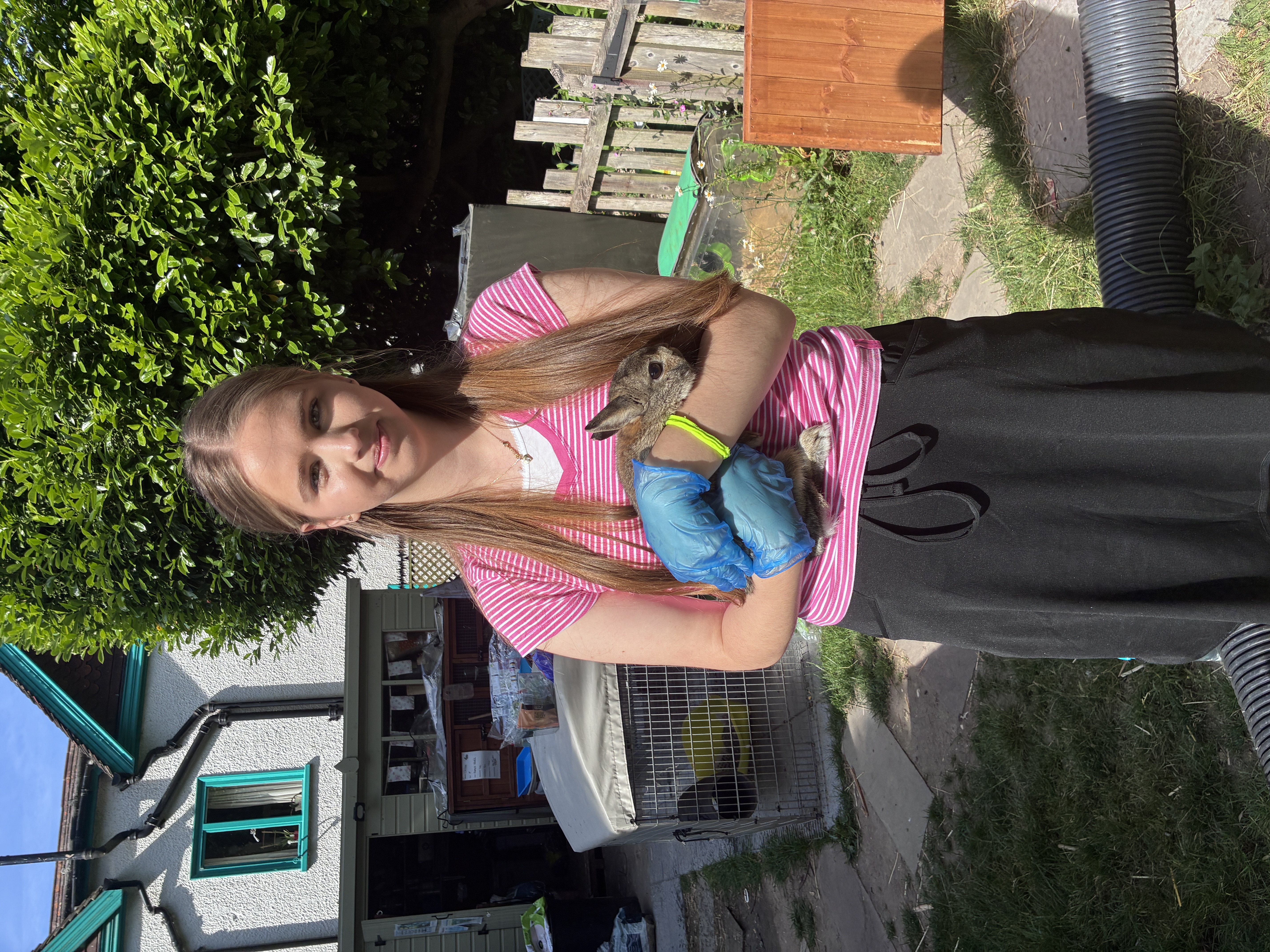image-4
