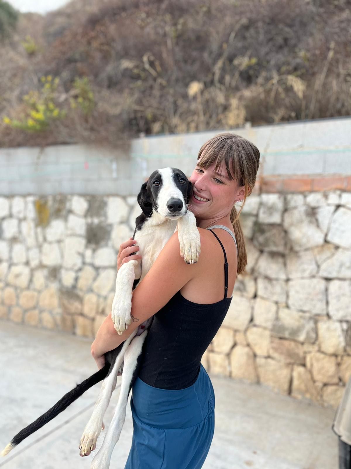 image-3