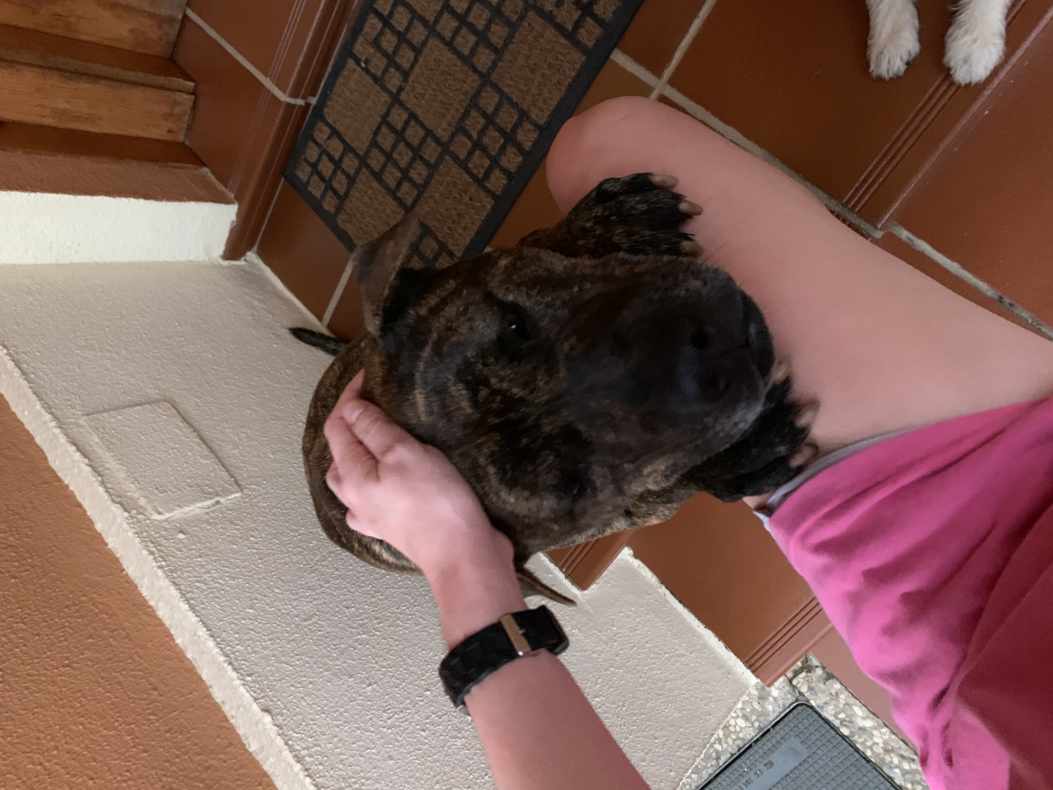 image-8