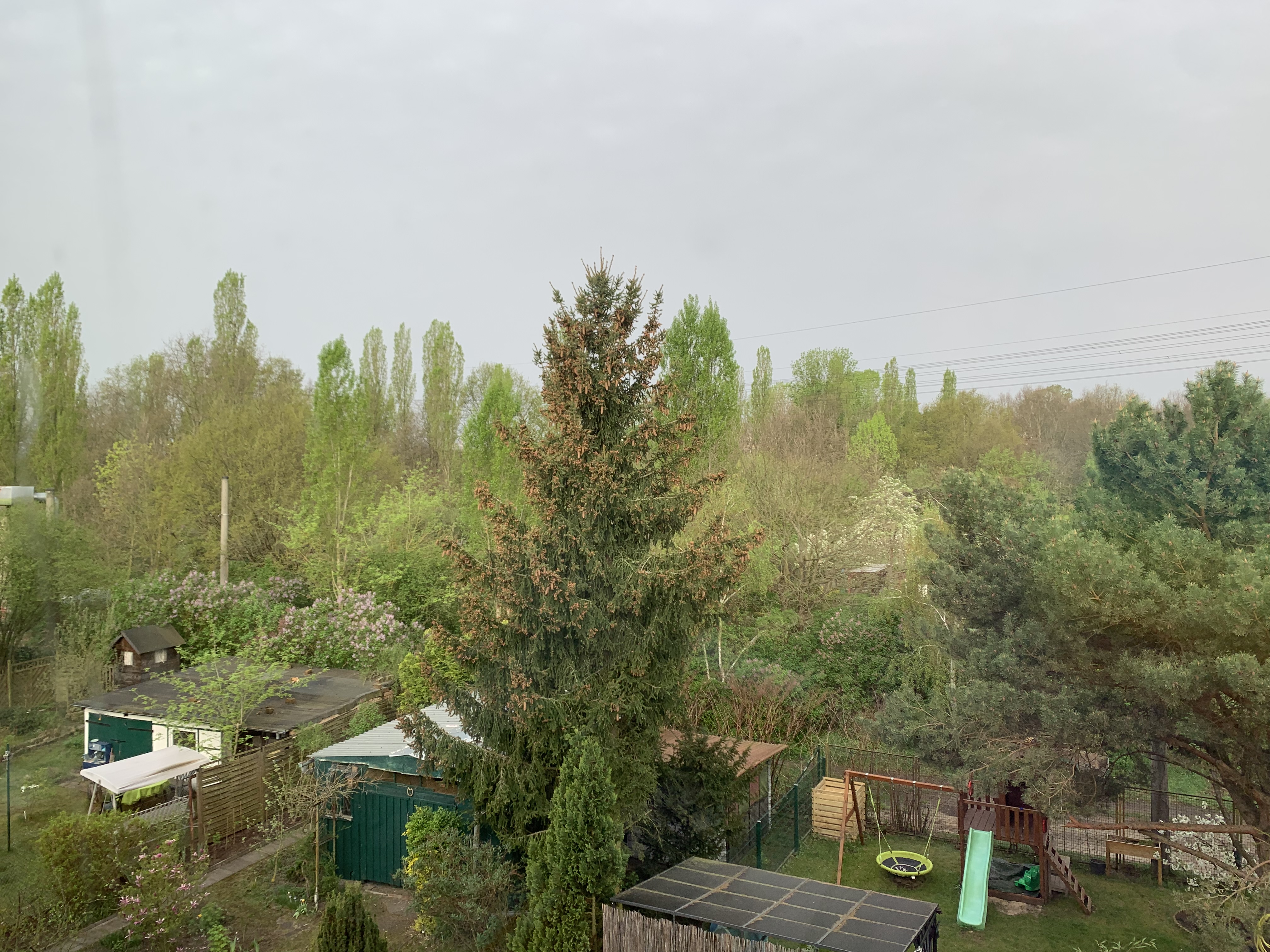 image-21