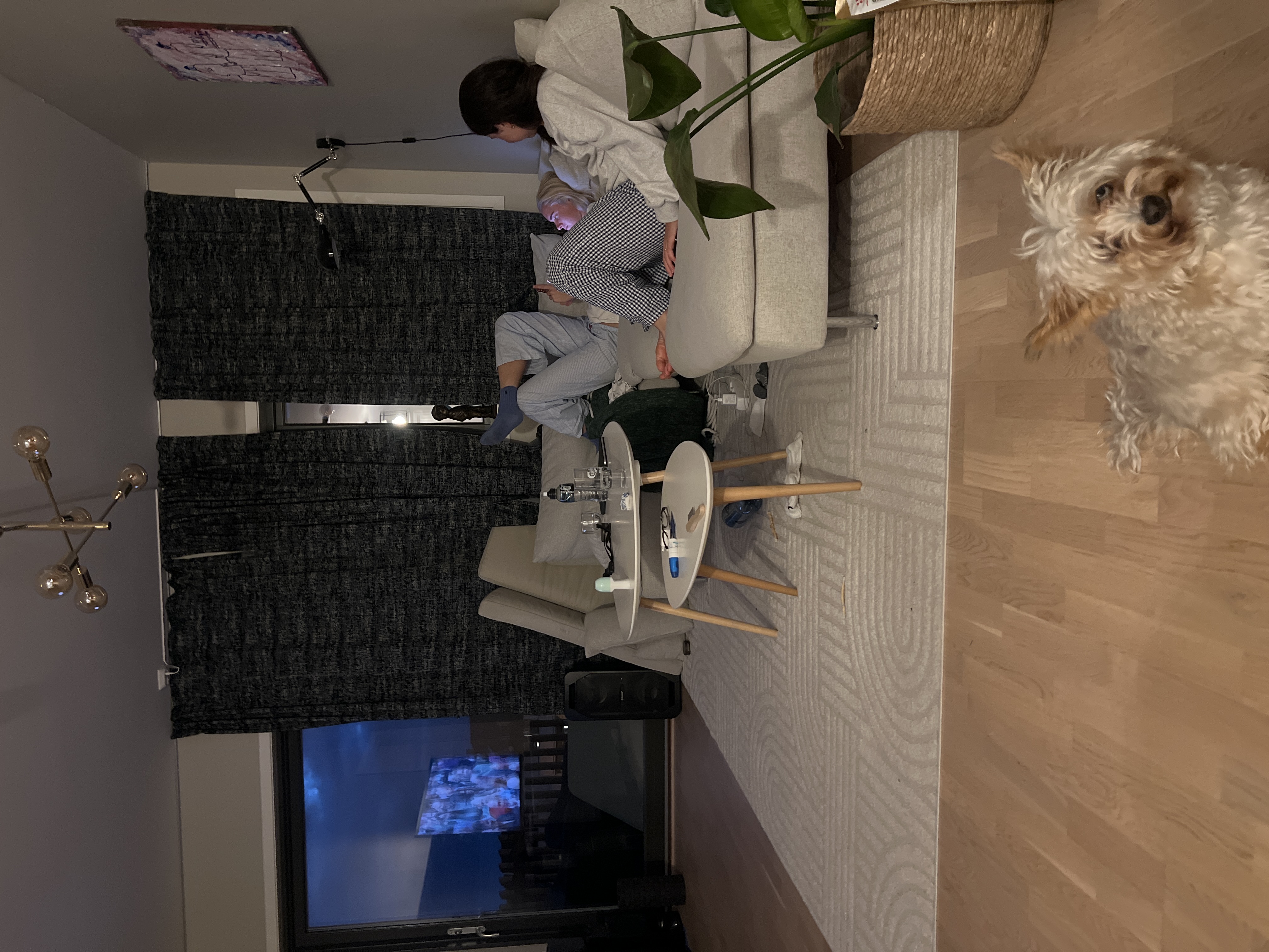 image-15