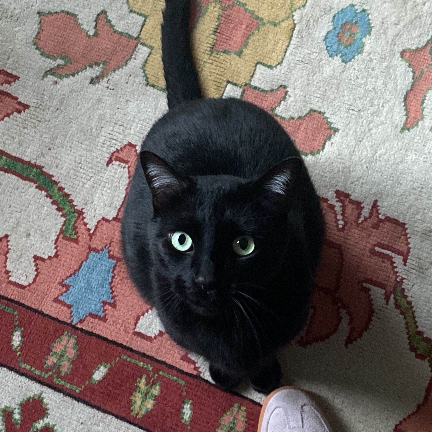 Oliver
