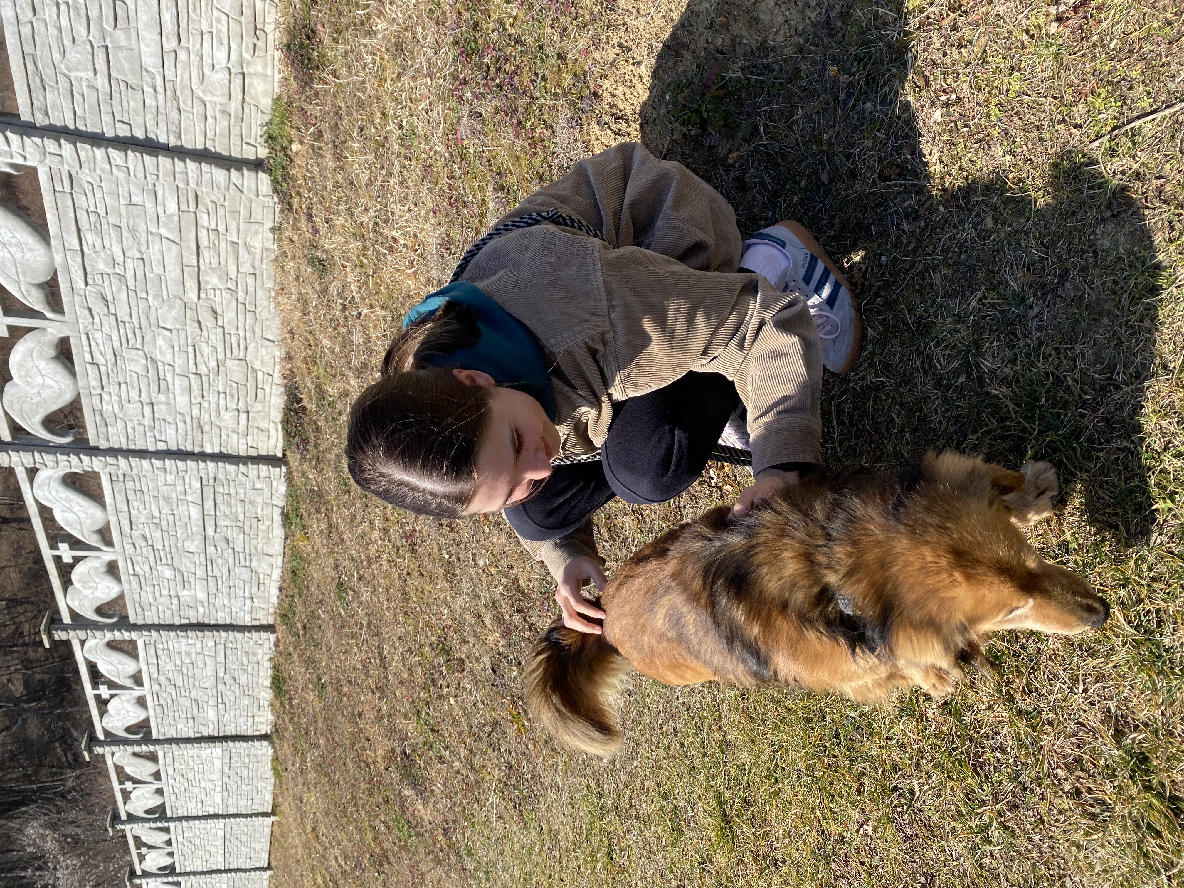 image-8