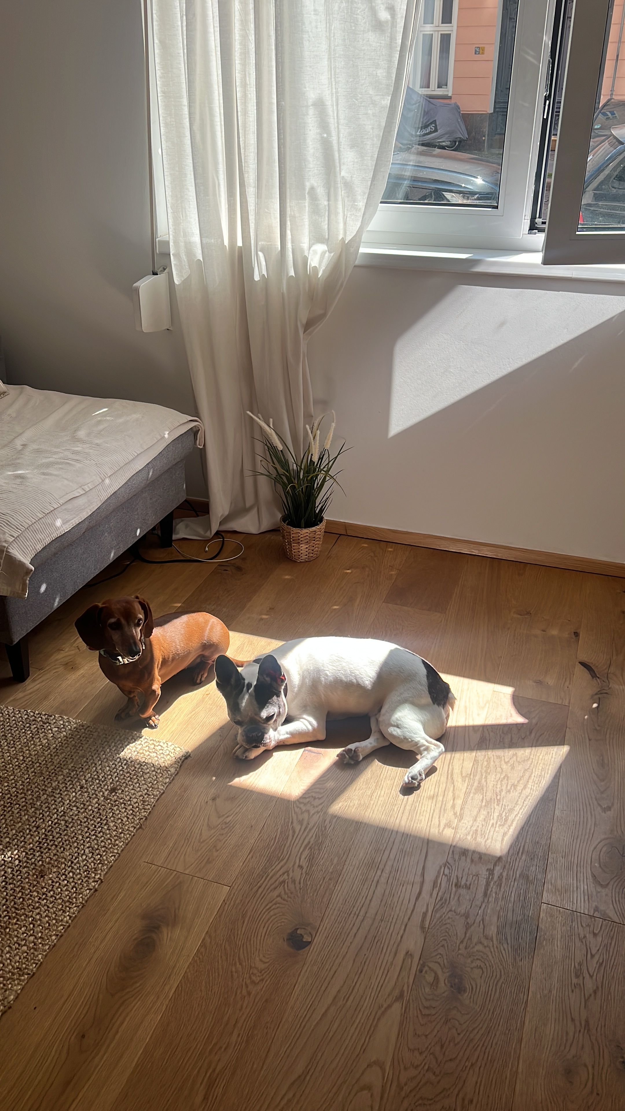 image-17