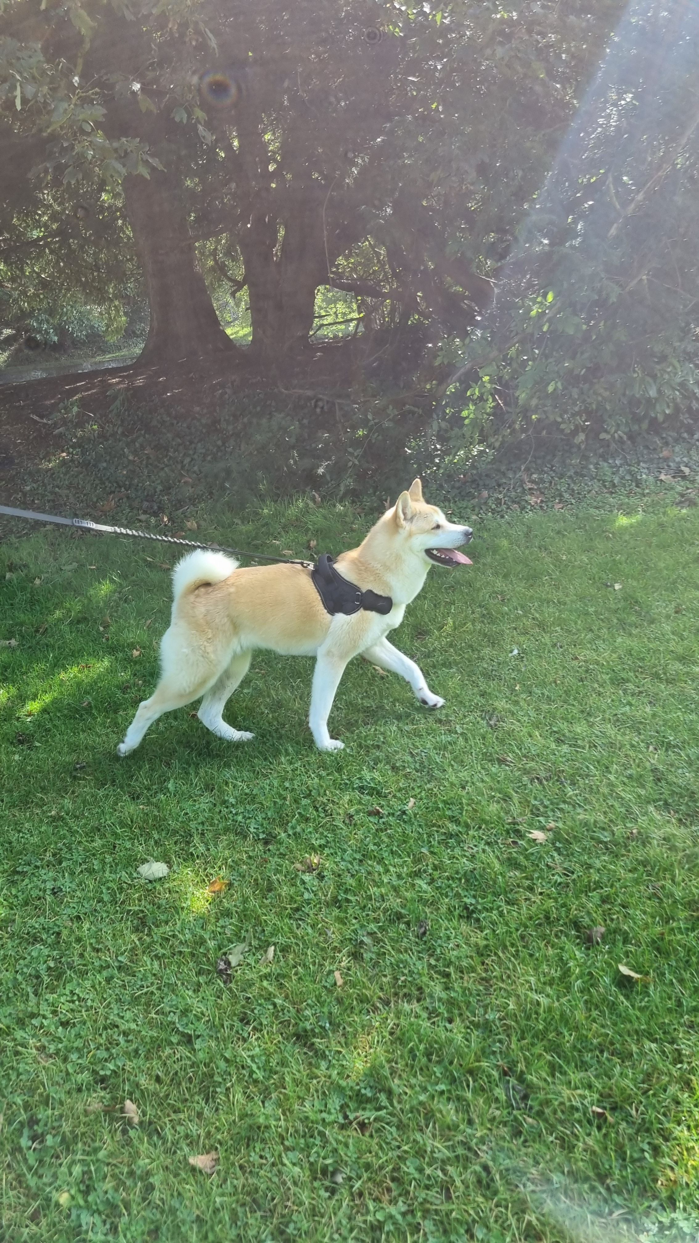 image-8