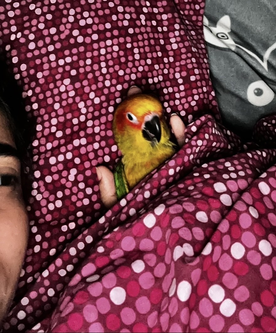 image-8