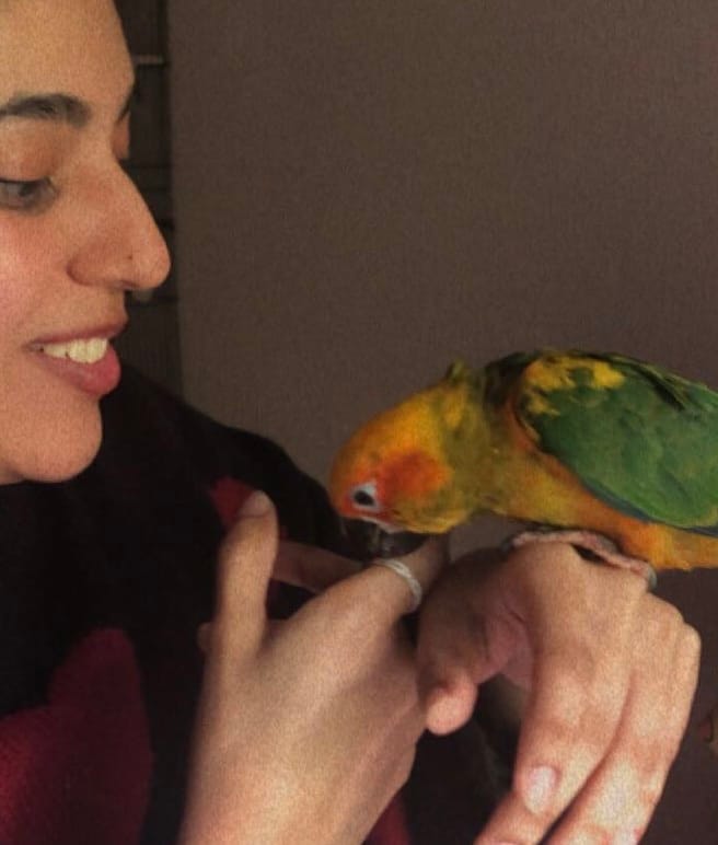 image-11