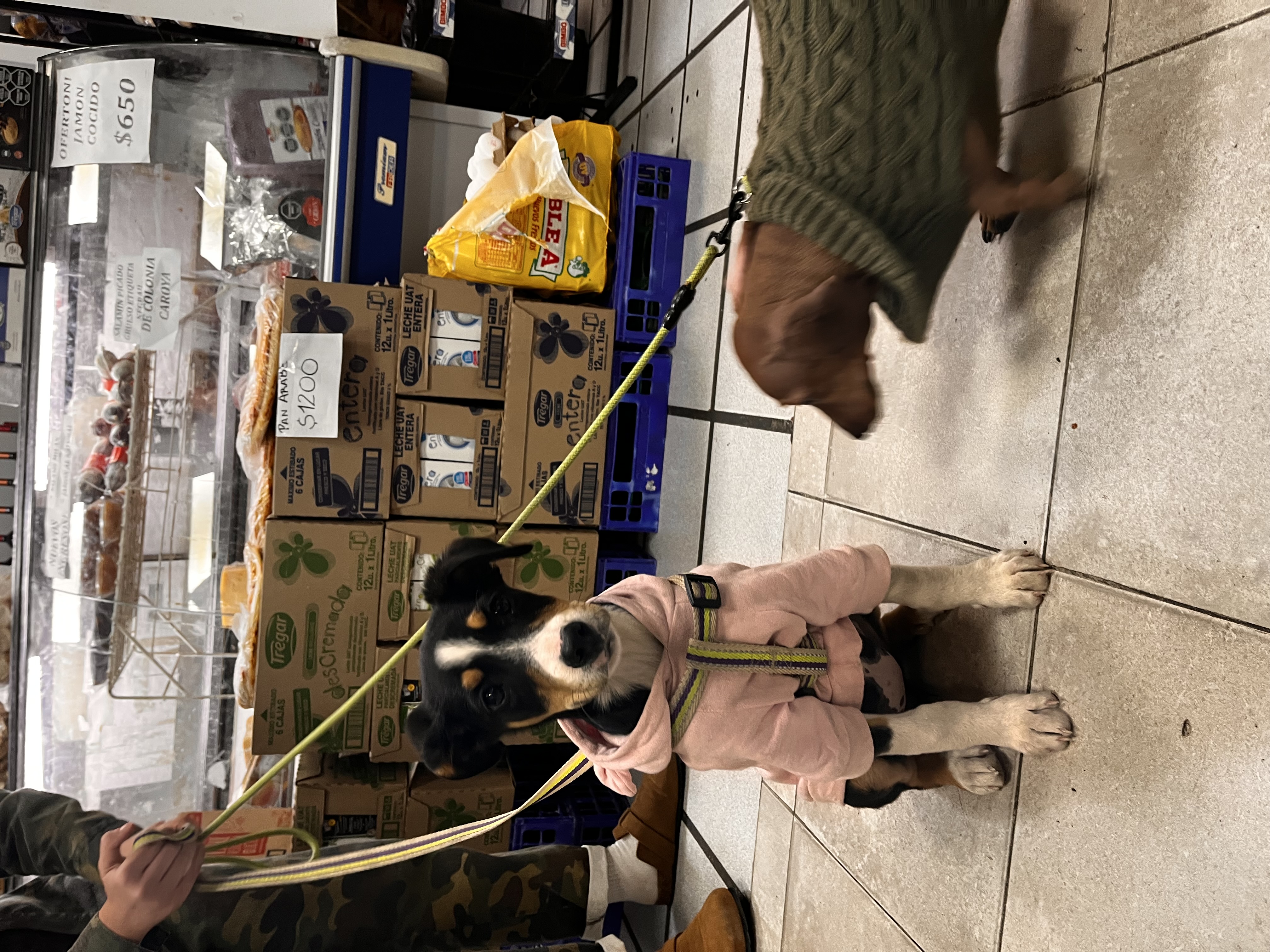 image-6