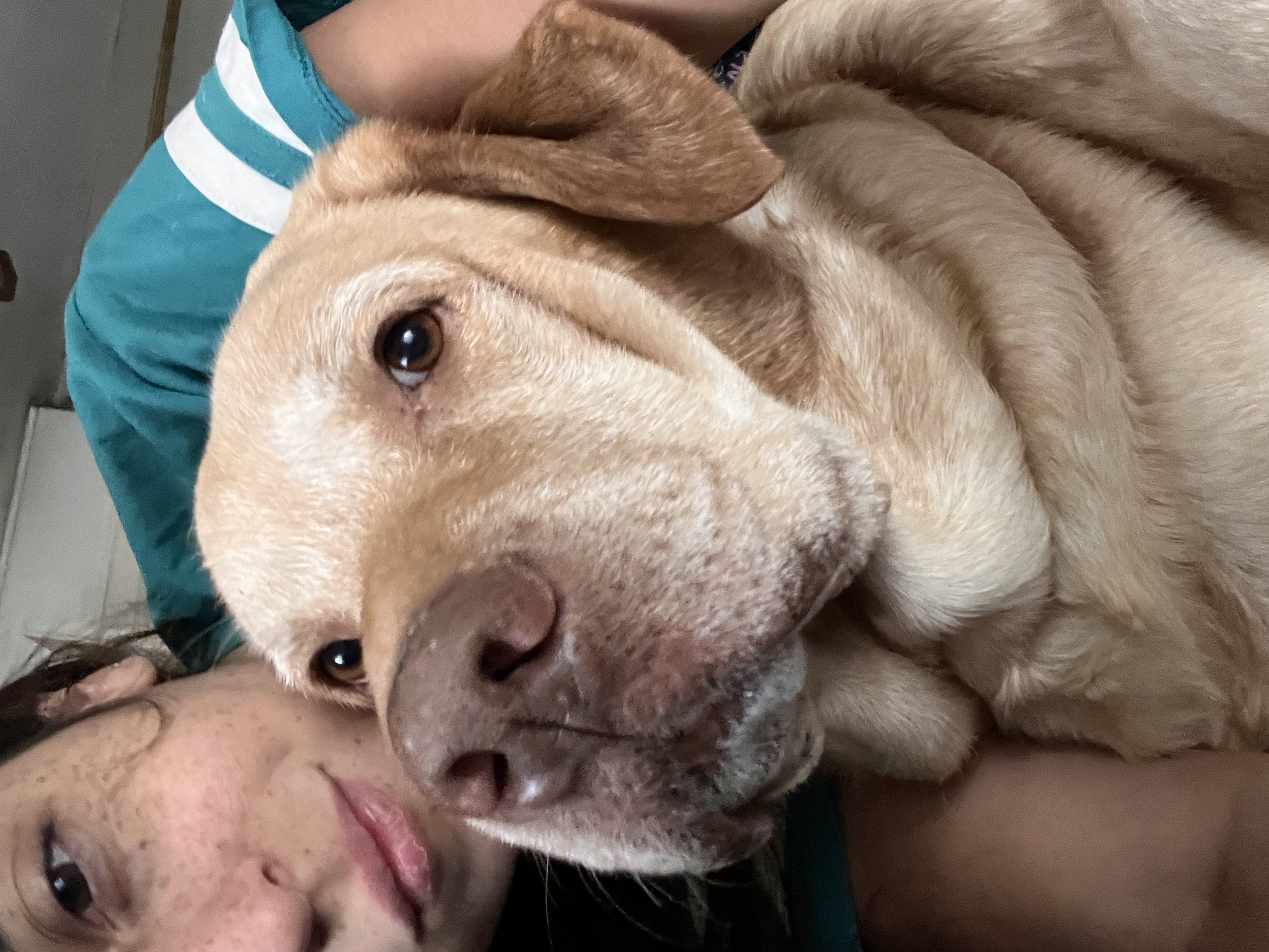 image-8