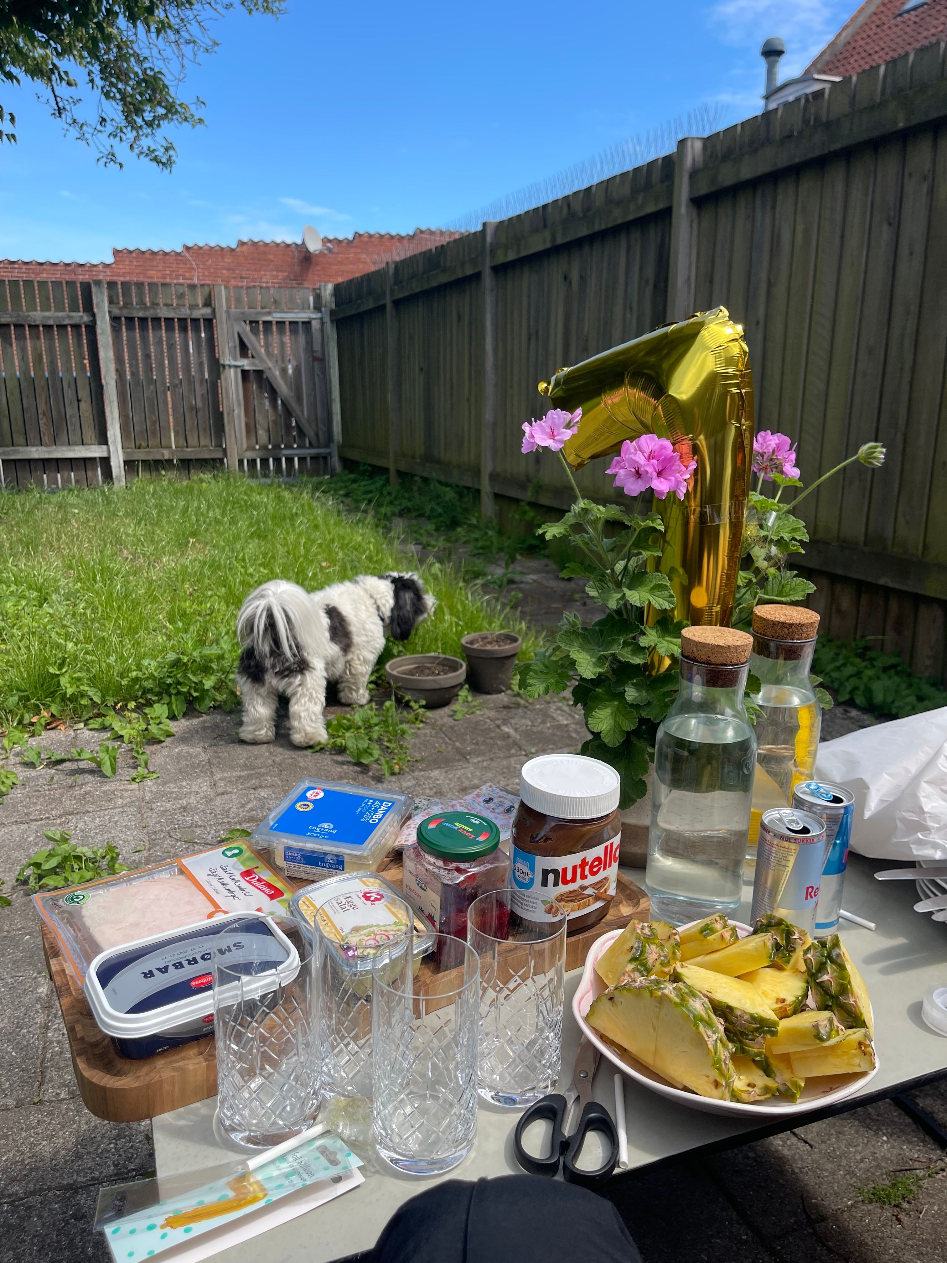 image-18