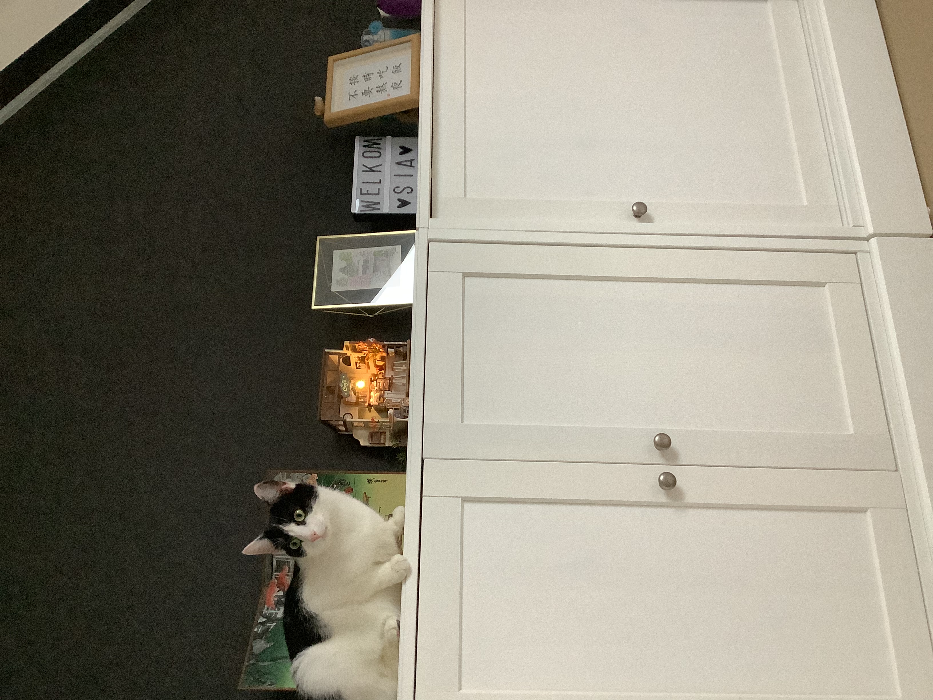 image-11
