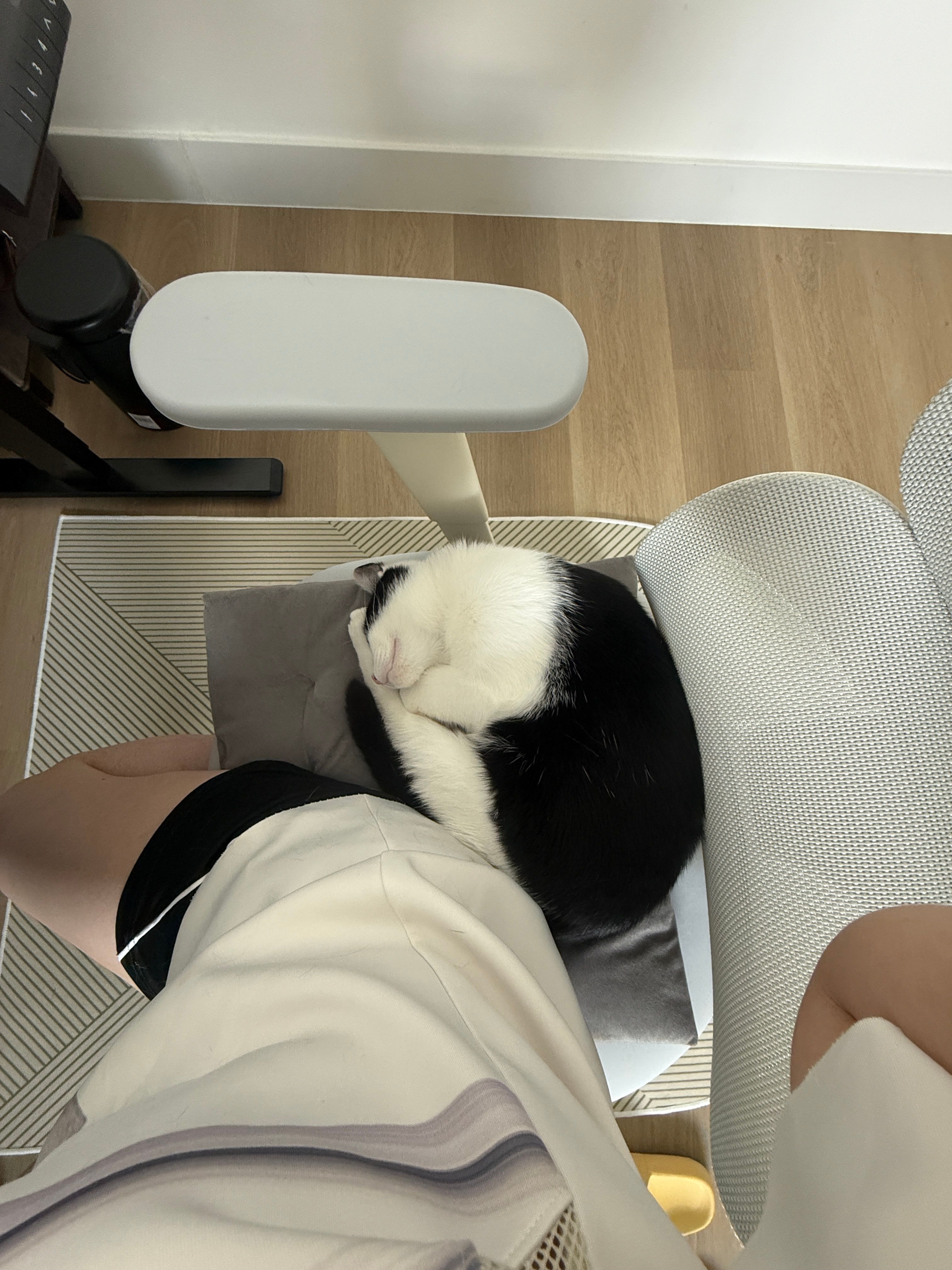 image-6