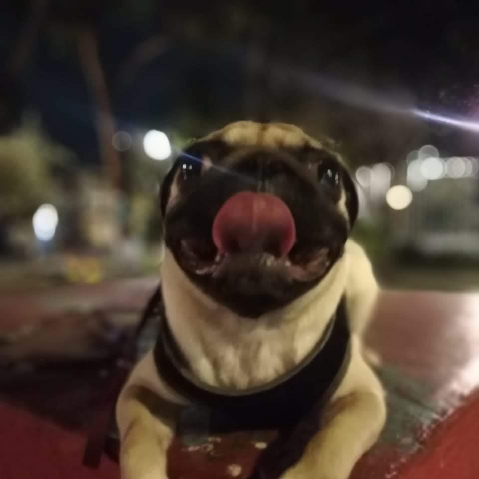 Frida