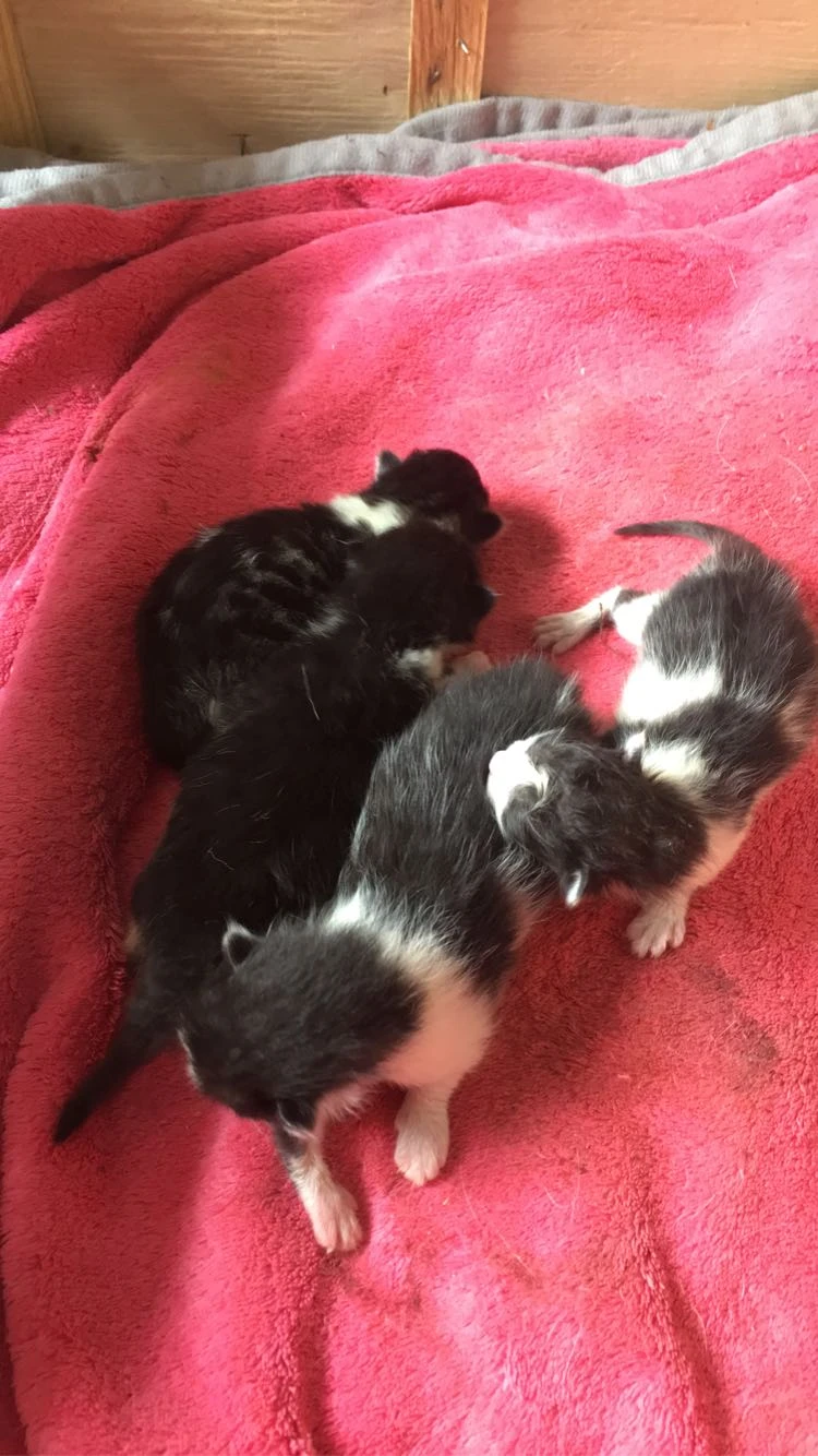 image-9
