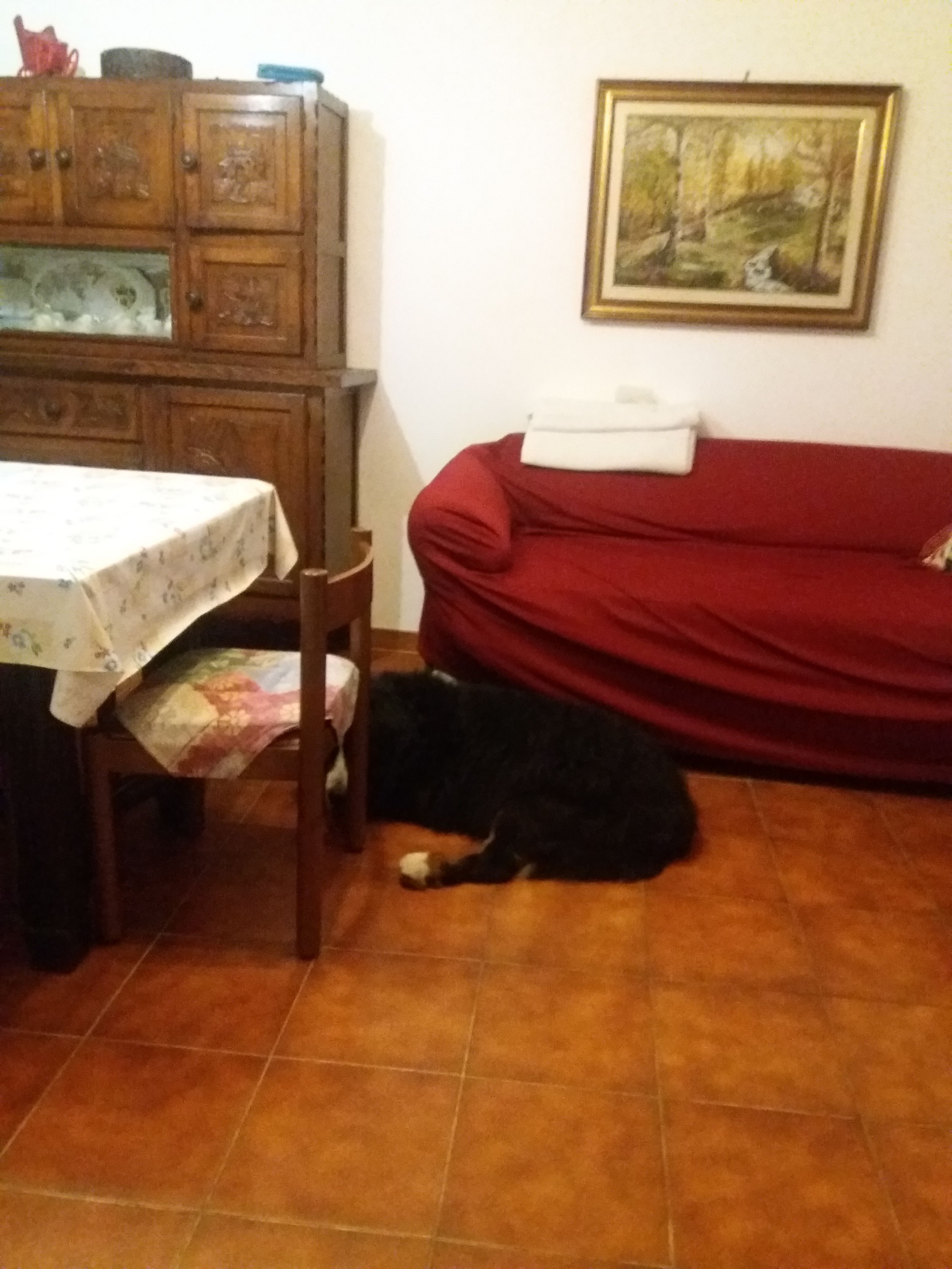 image-8