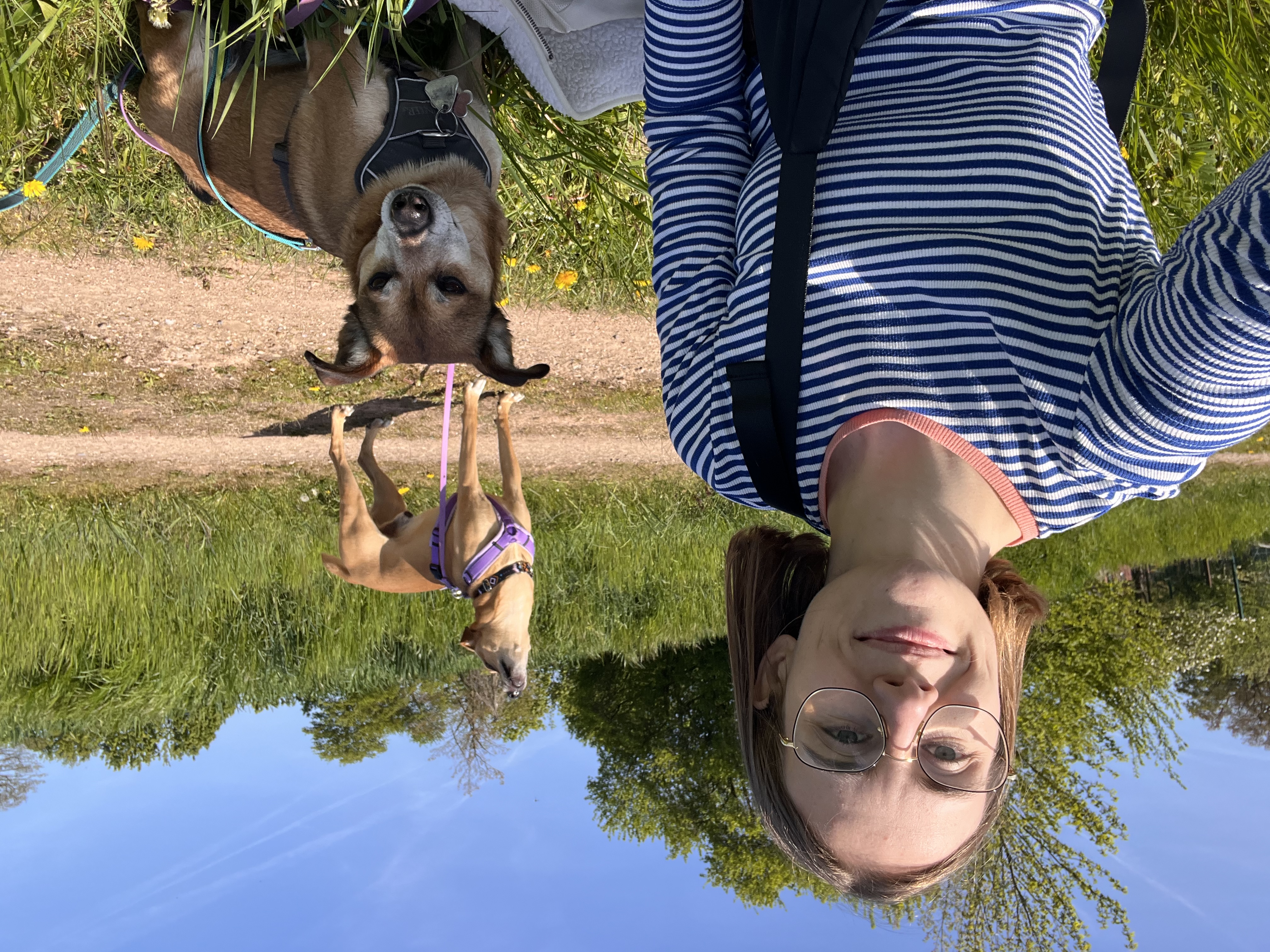 image-1