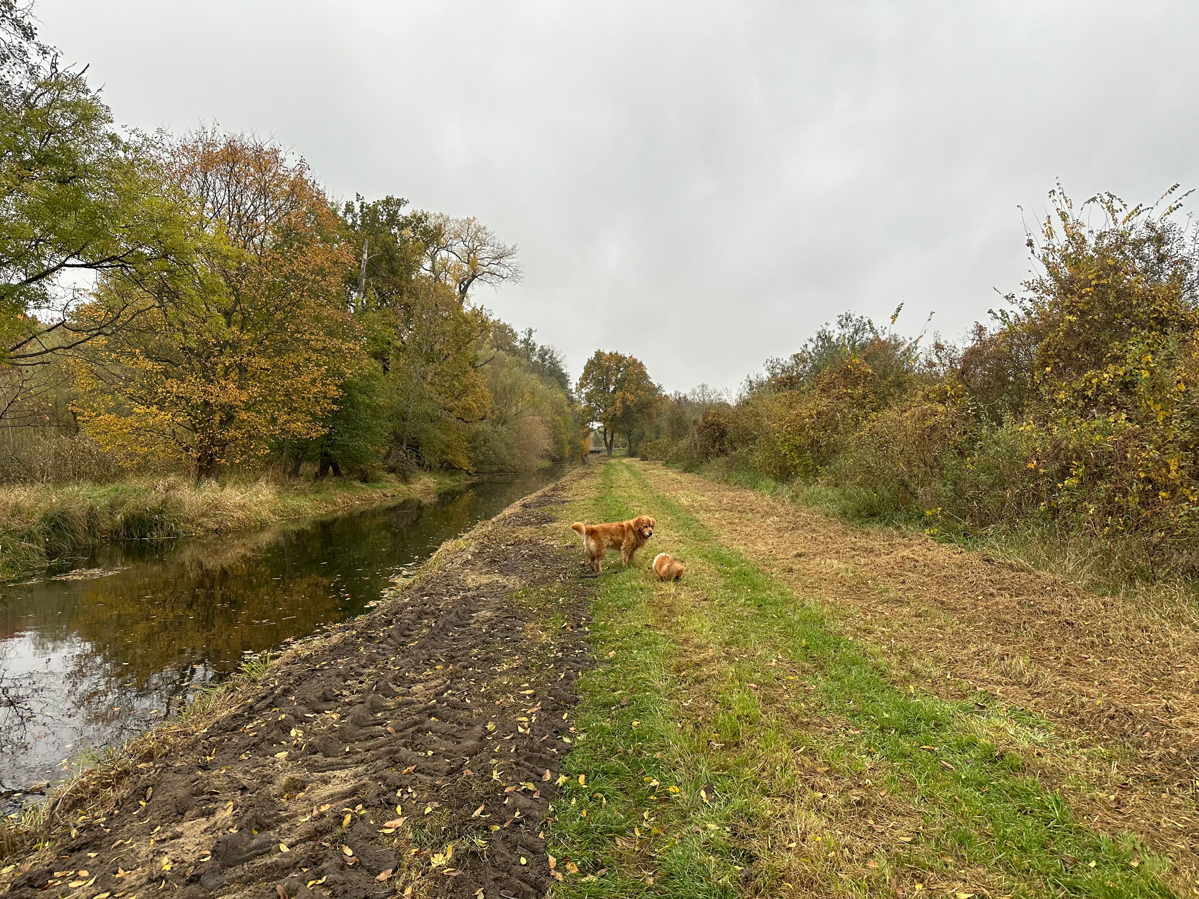 image-33
