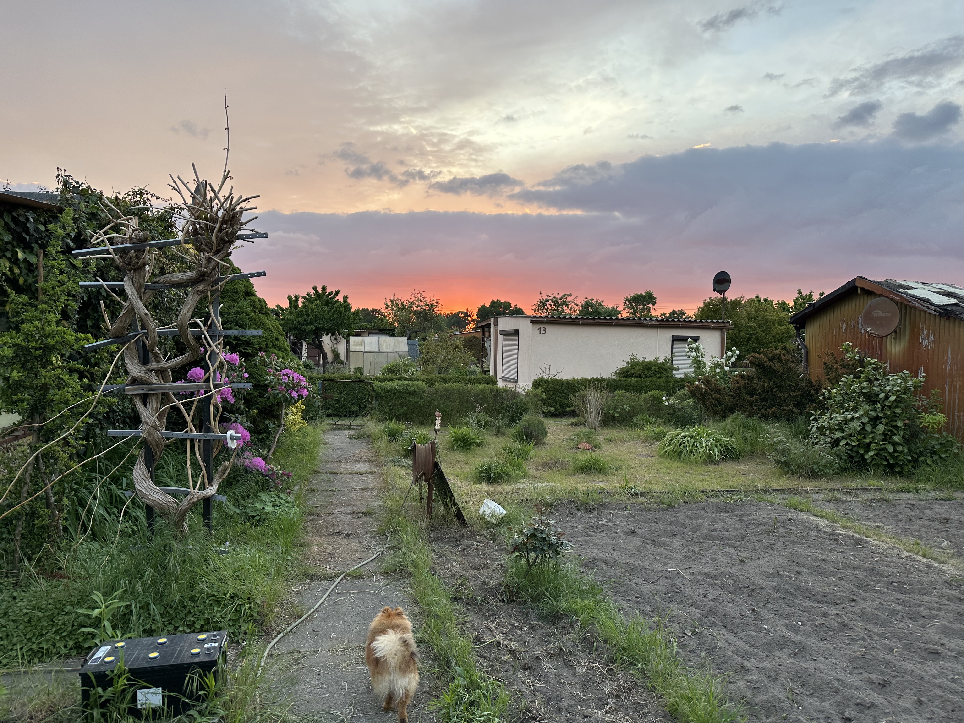 image-27