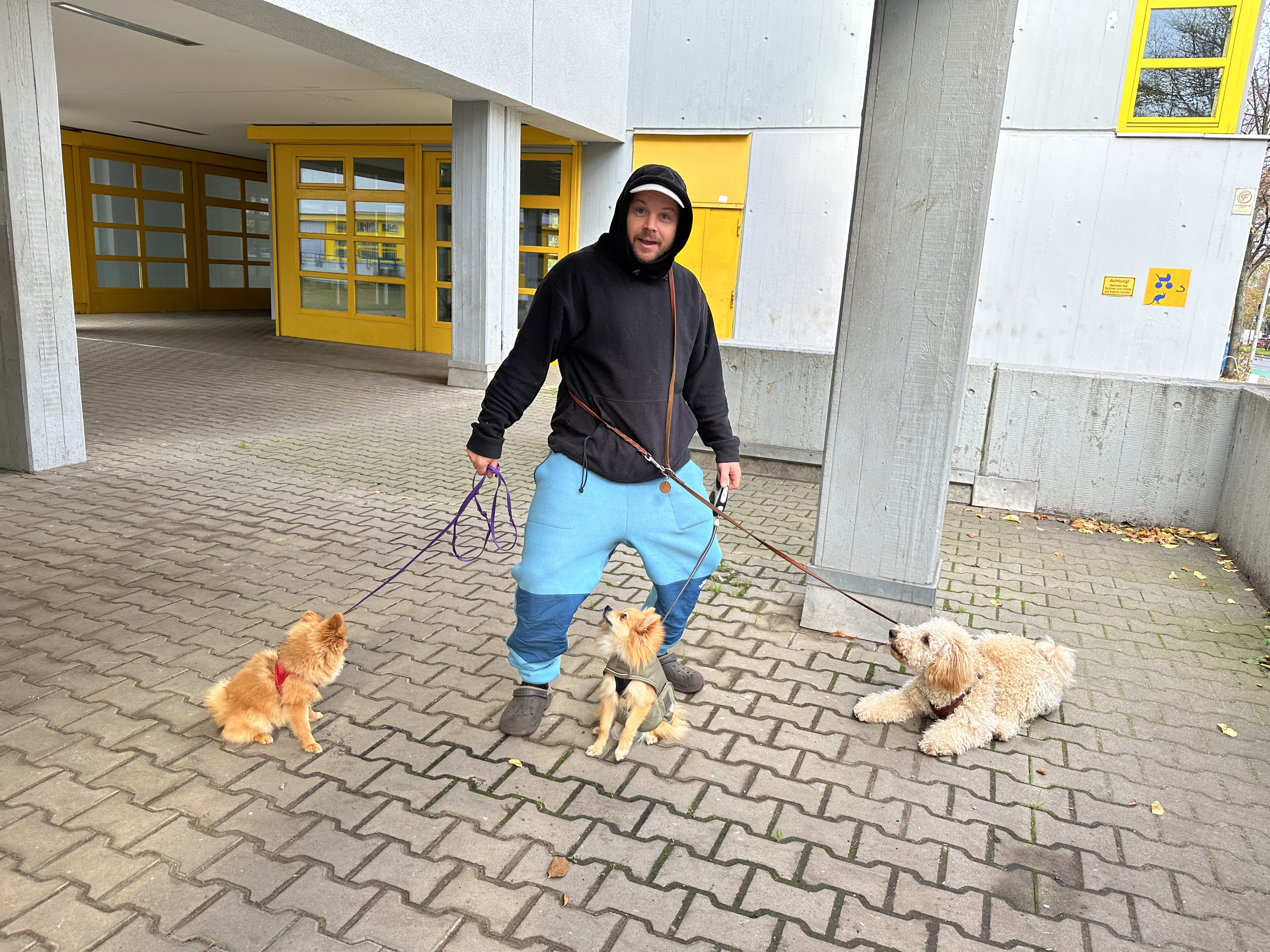 image-42