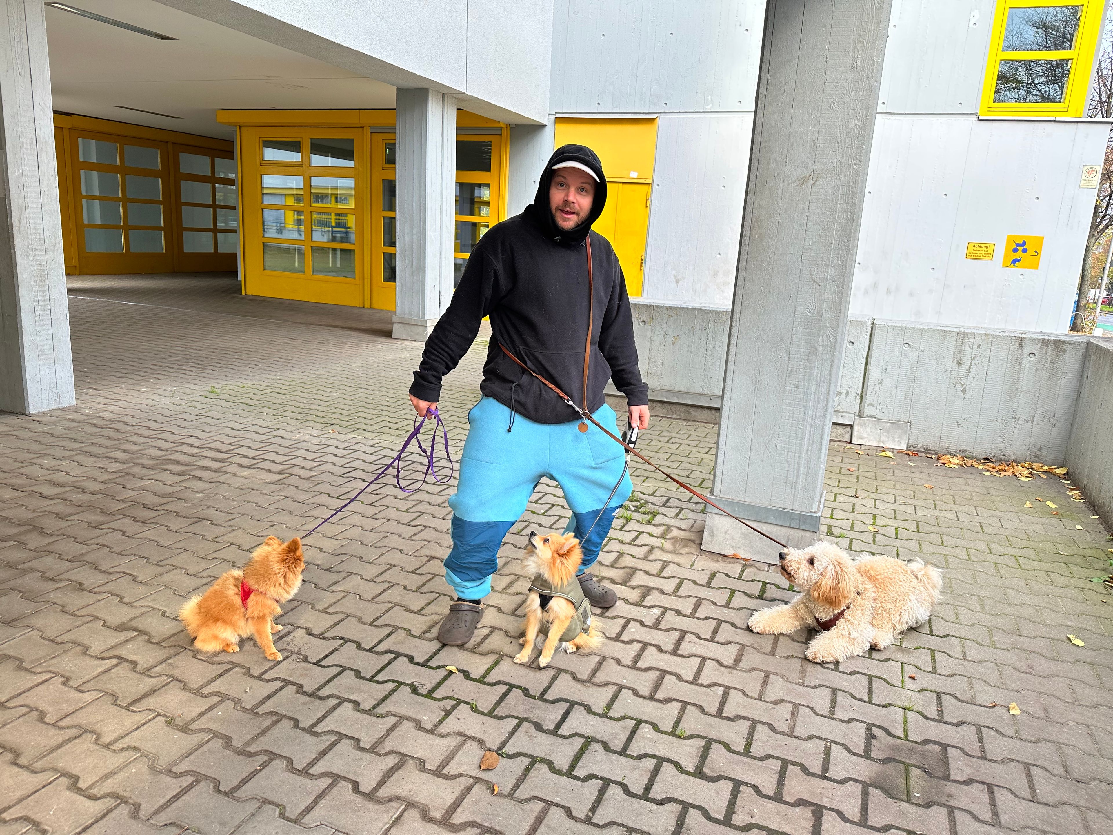 image-42