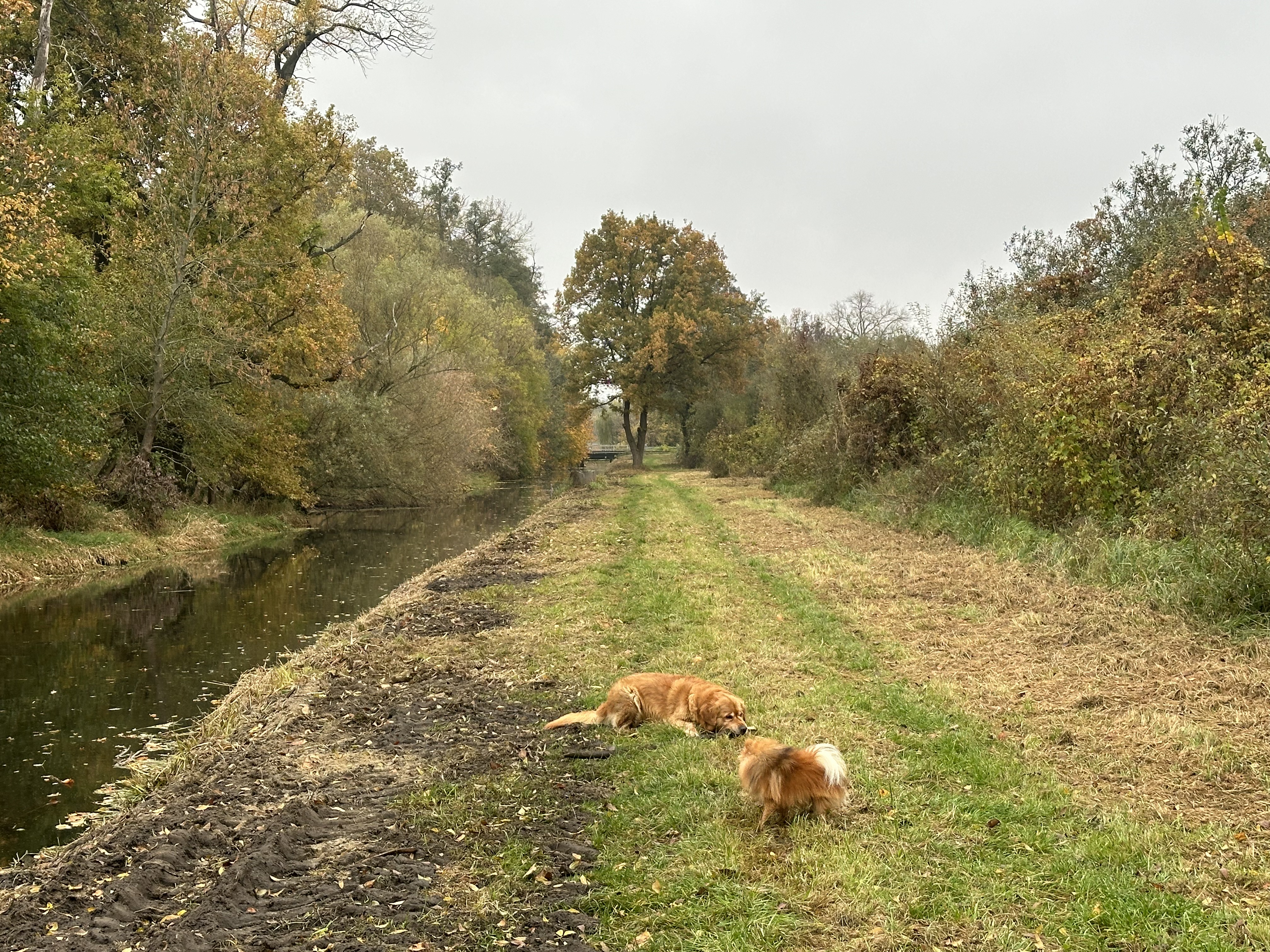 image-32
