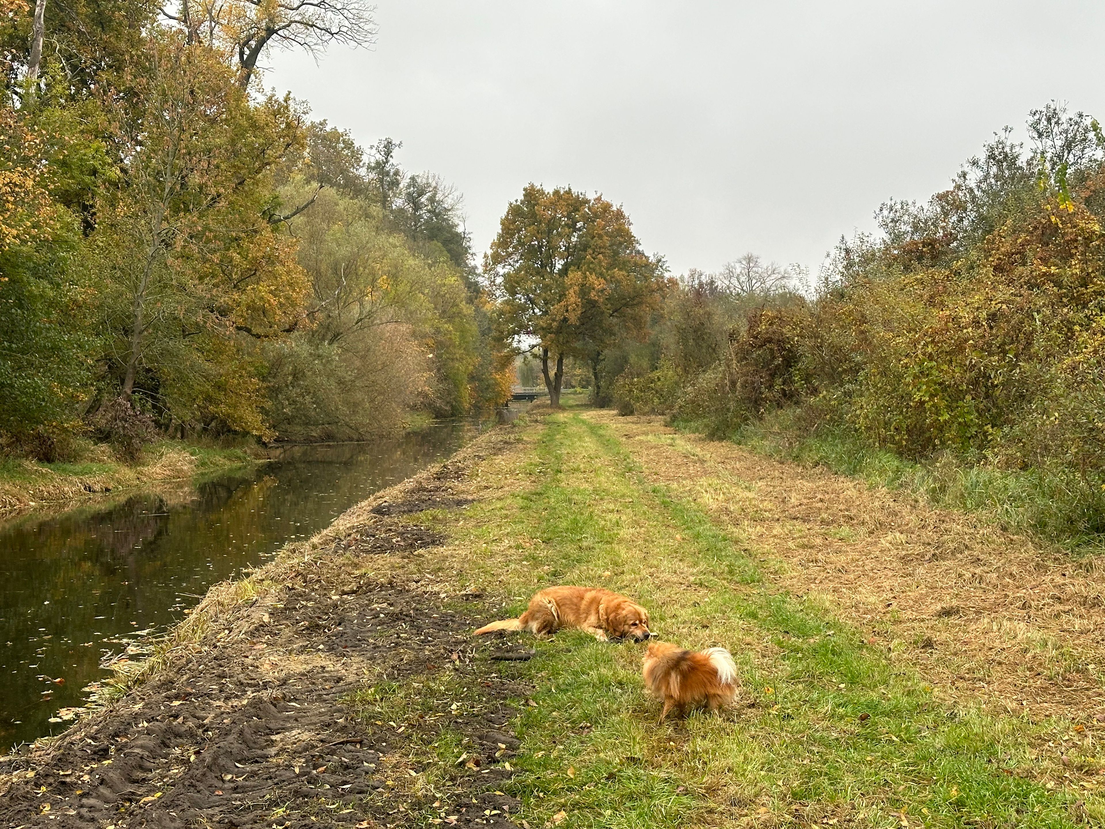 image-32