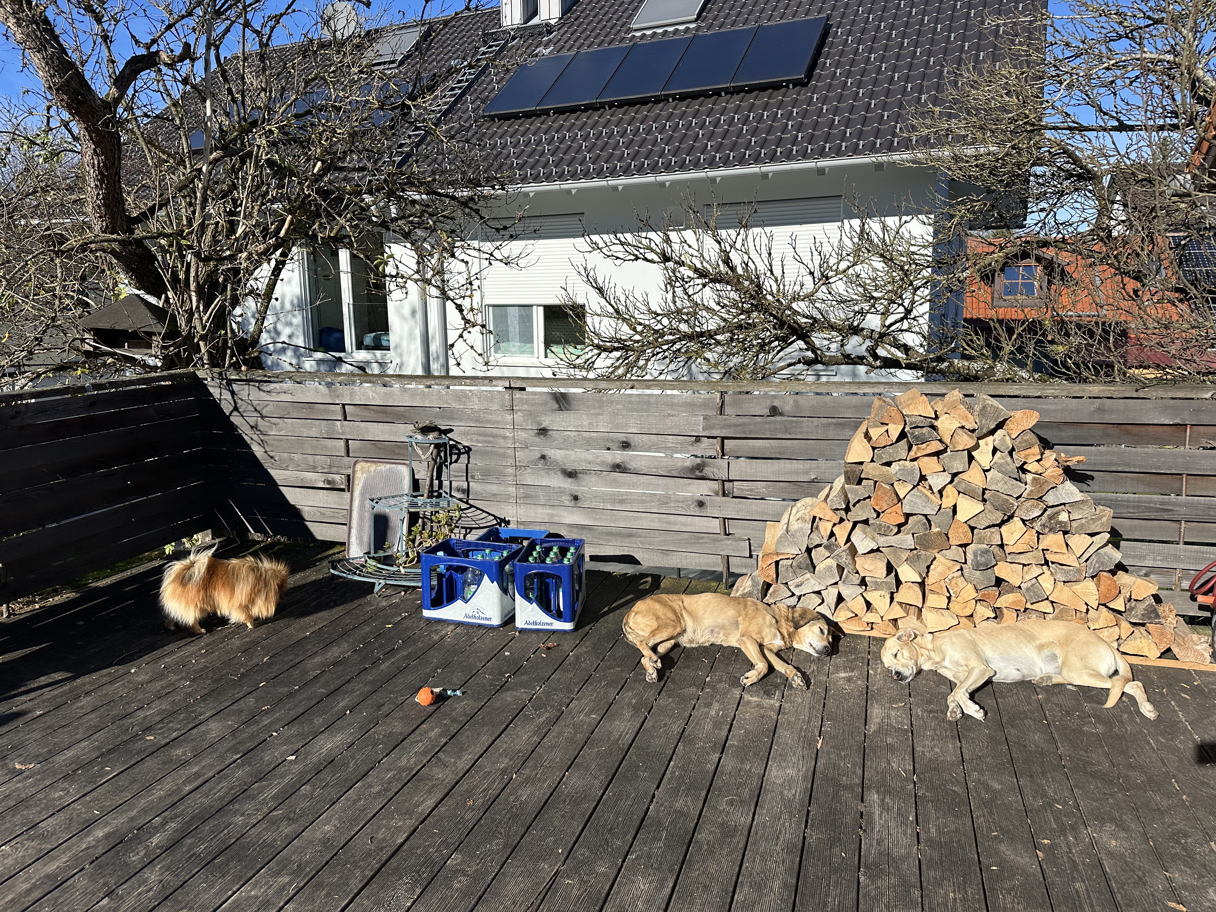 image-9