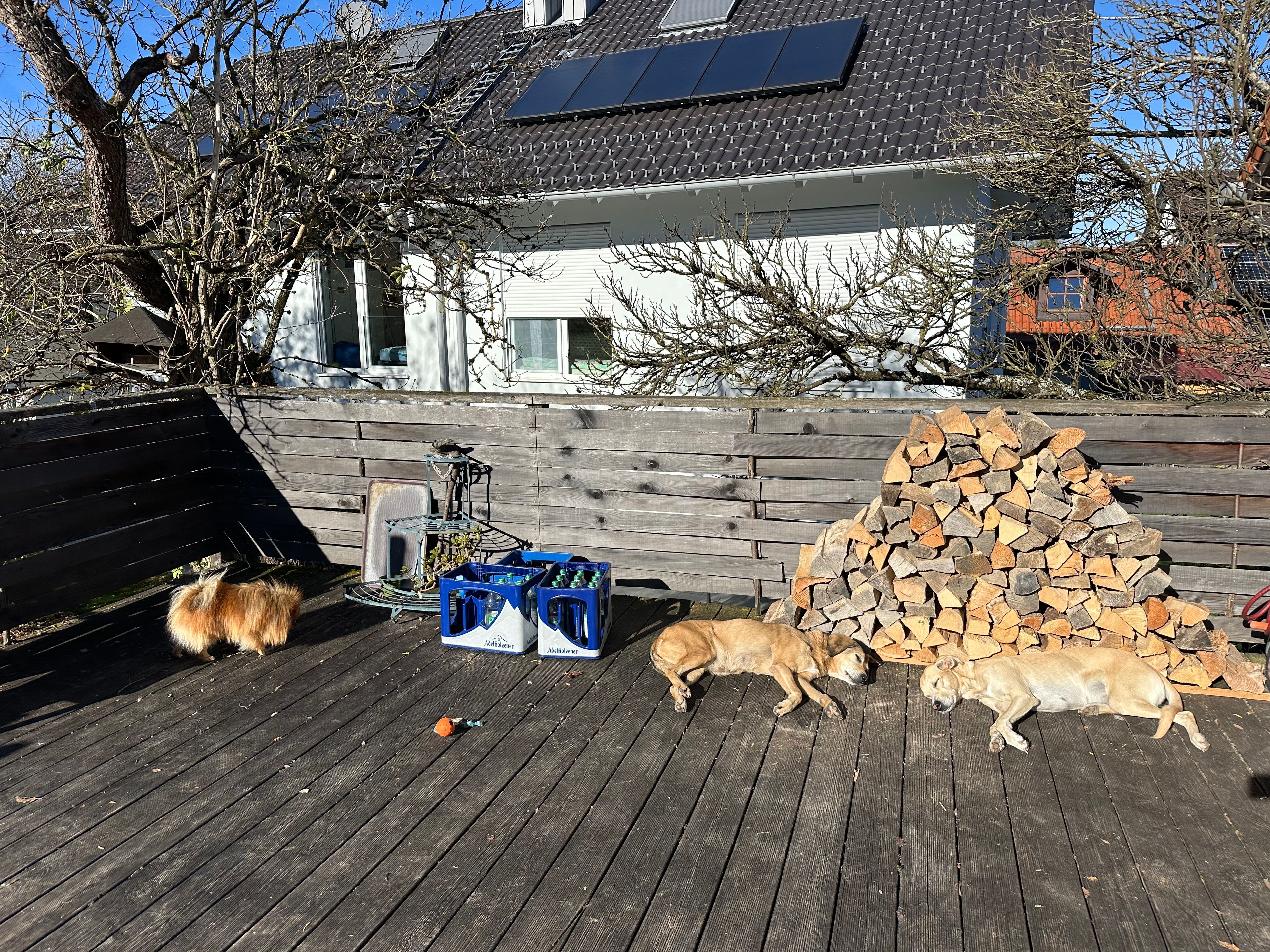 image-9