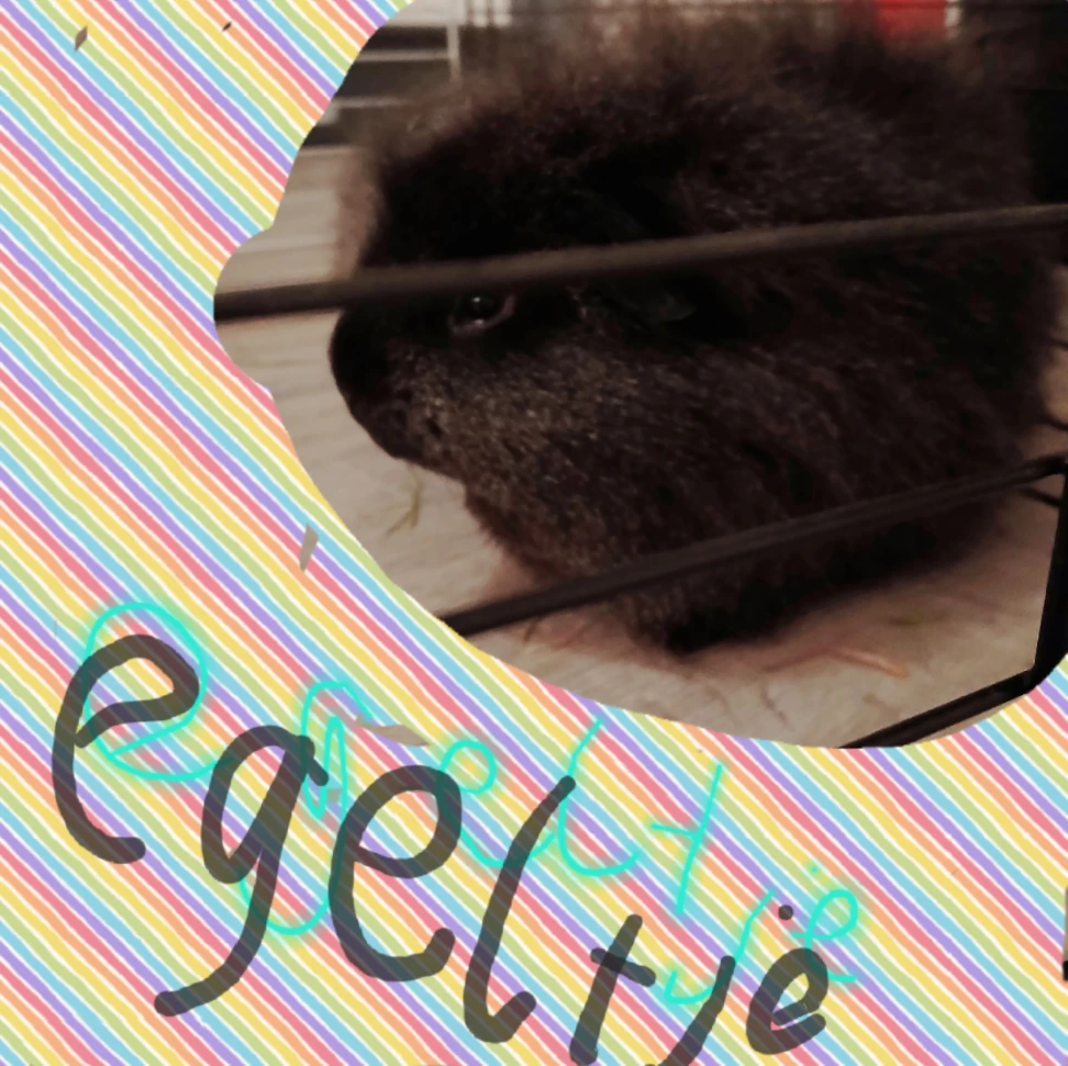 Egeltje