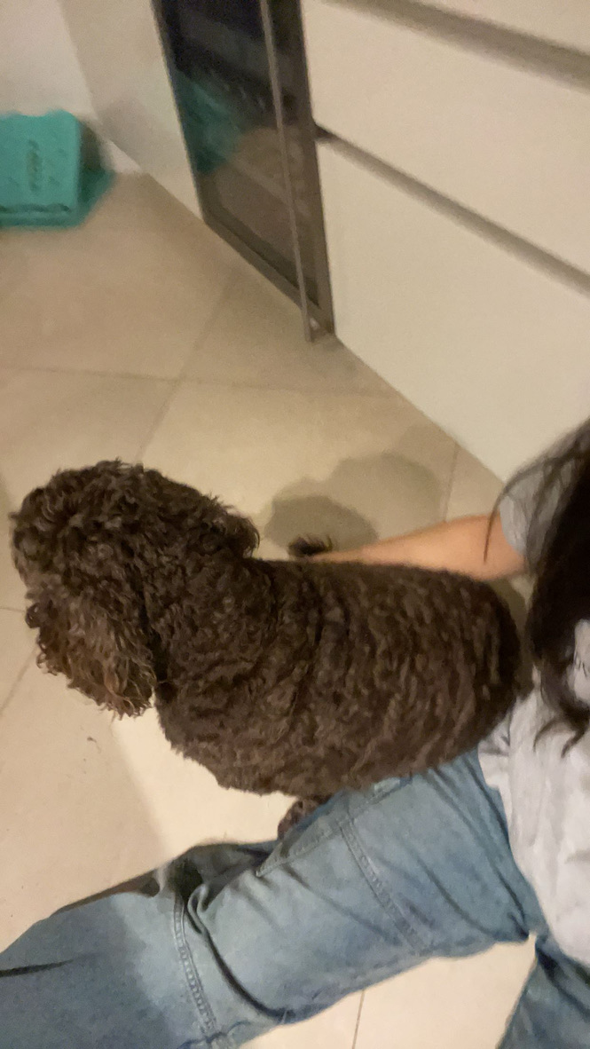 image-9