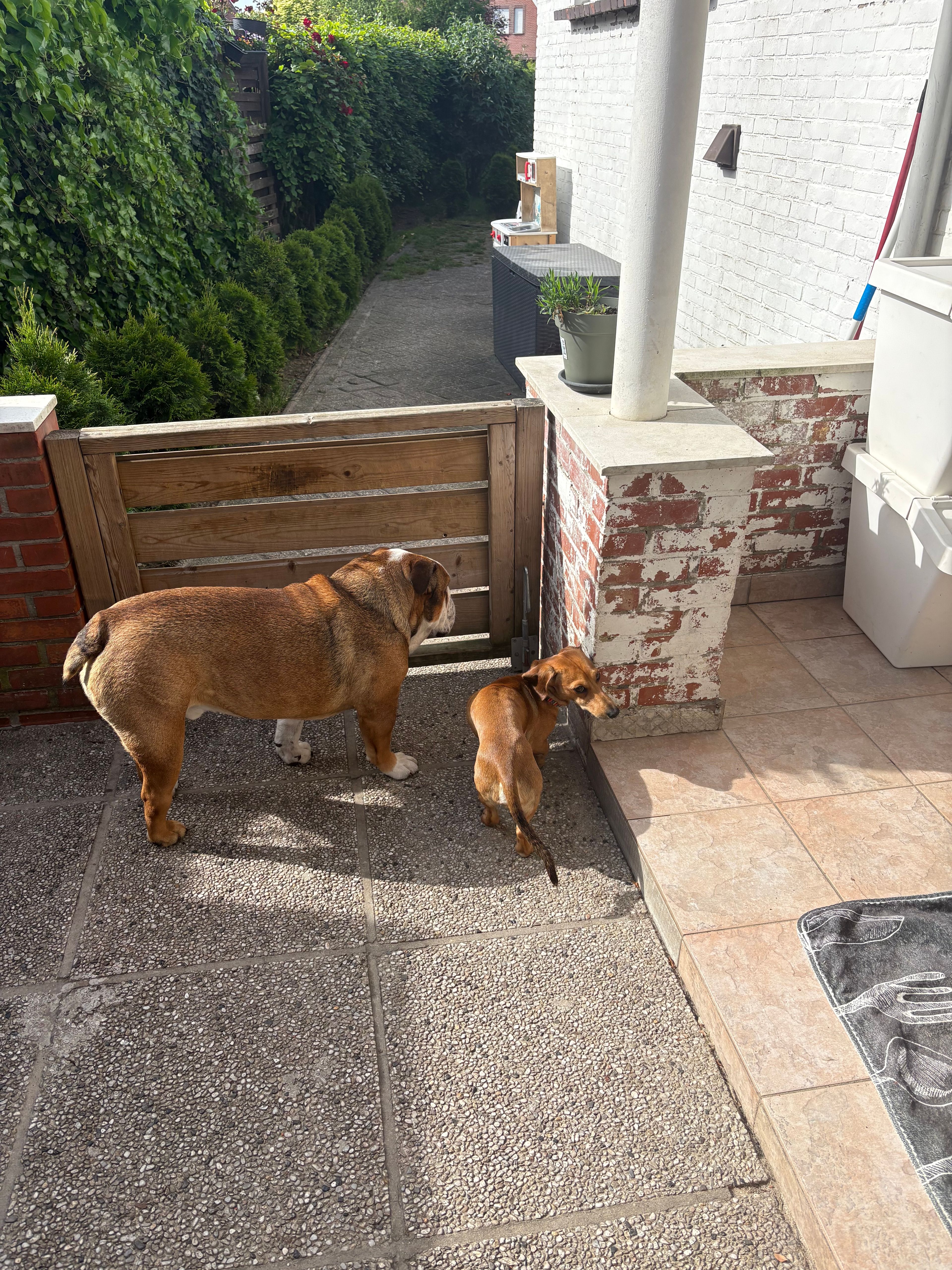 image-8