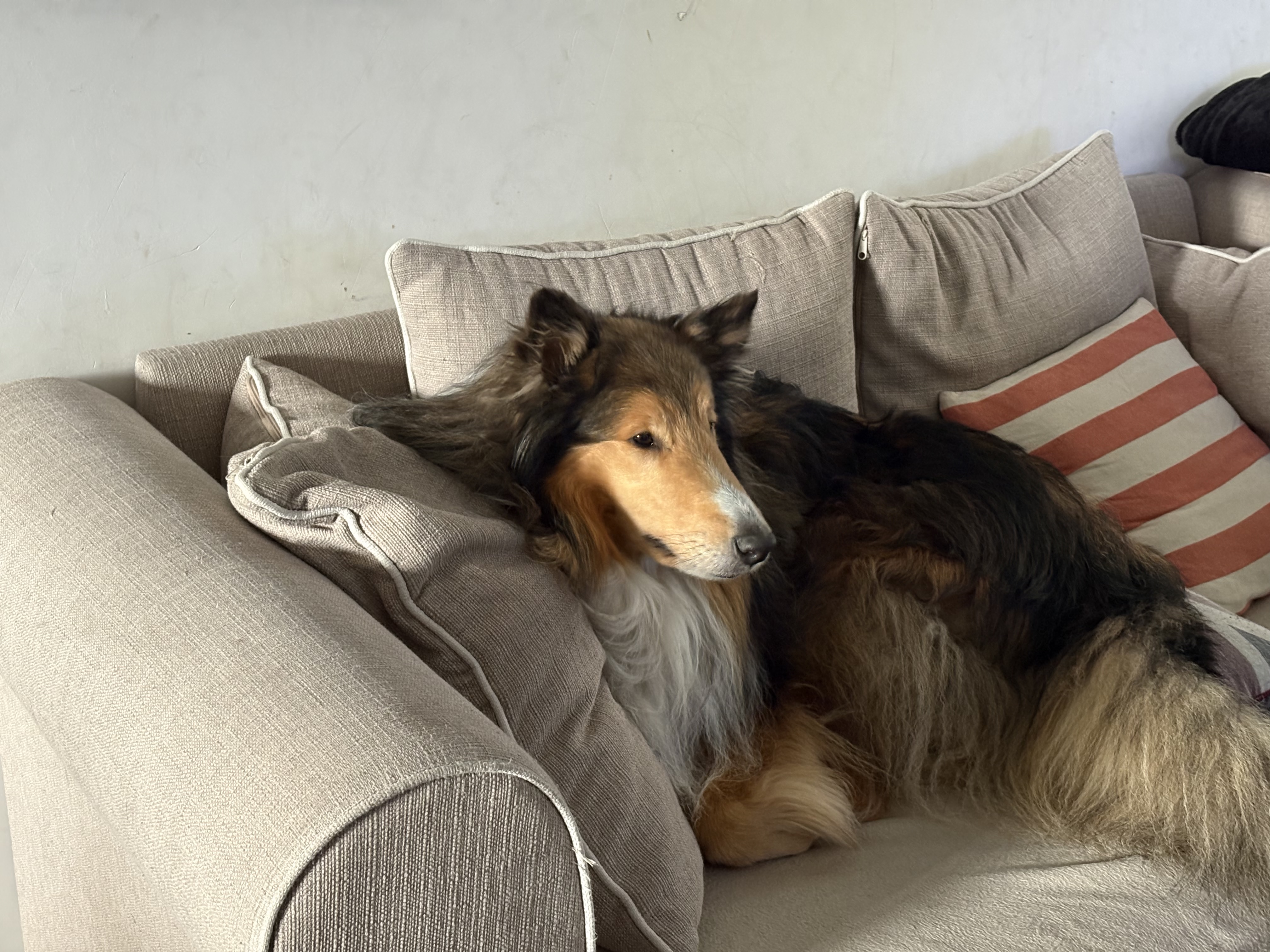 image-9